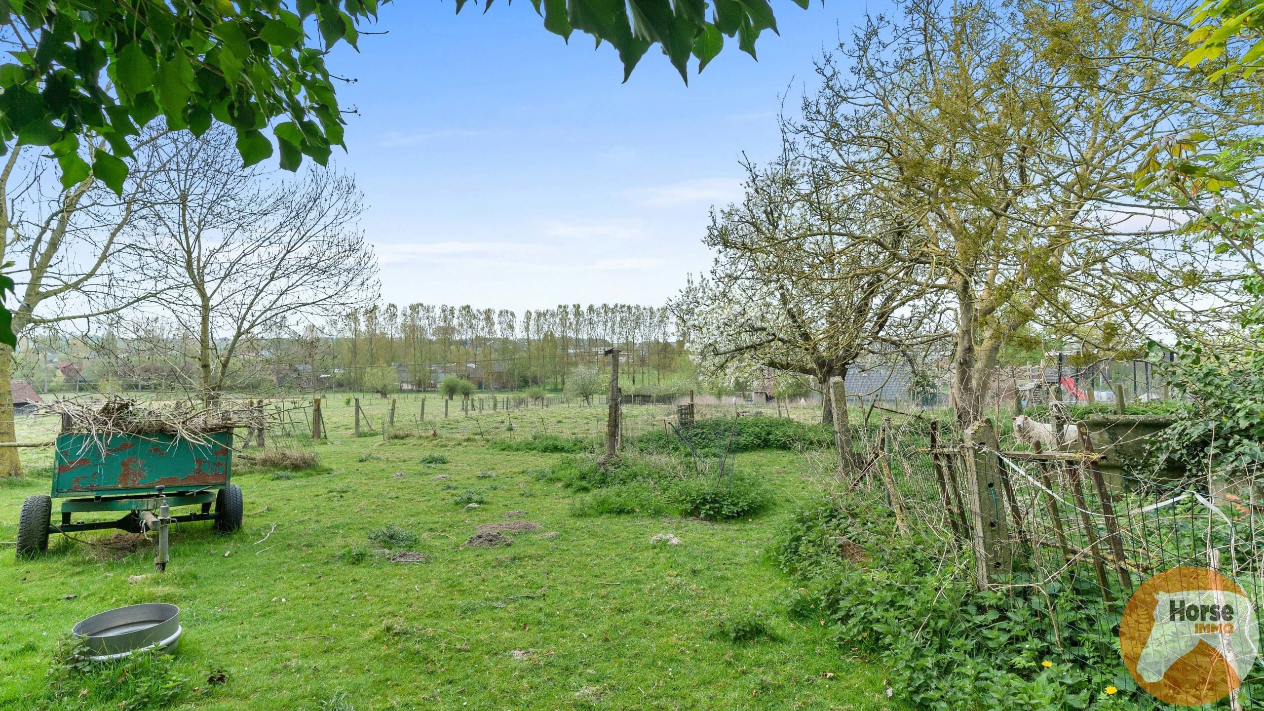 ZWALM - Uniek gelegen te renoveren hoeve op 1,1ha foto 7