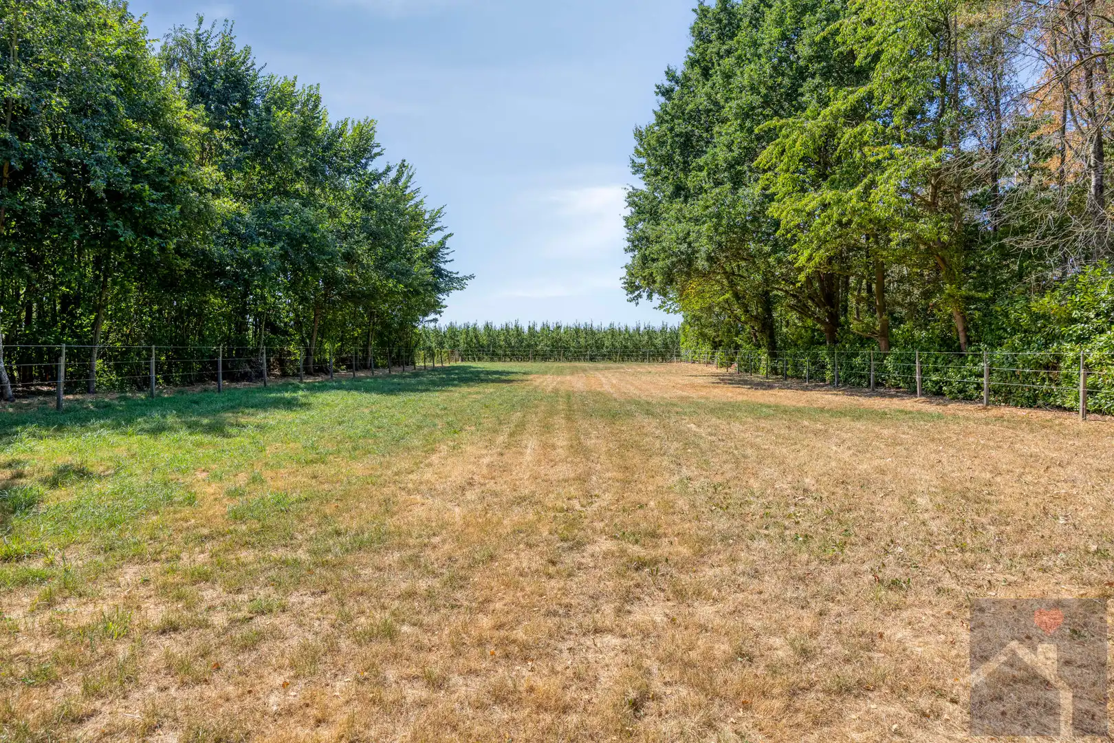 🐴 WONEN MET JE PAARDEN AAN HUIS? DIT IS ER ÉÉN OM TE BEKIJKEN! 🏡 foto 49