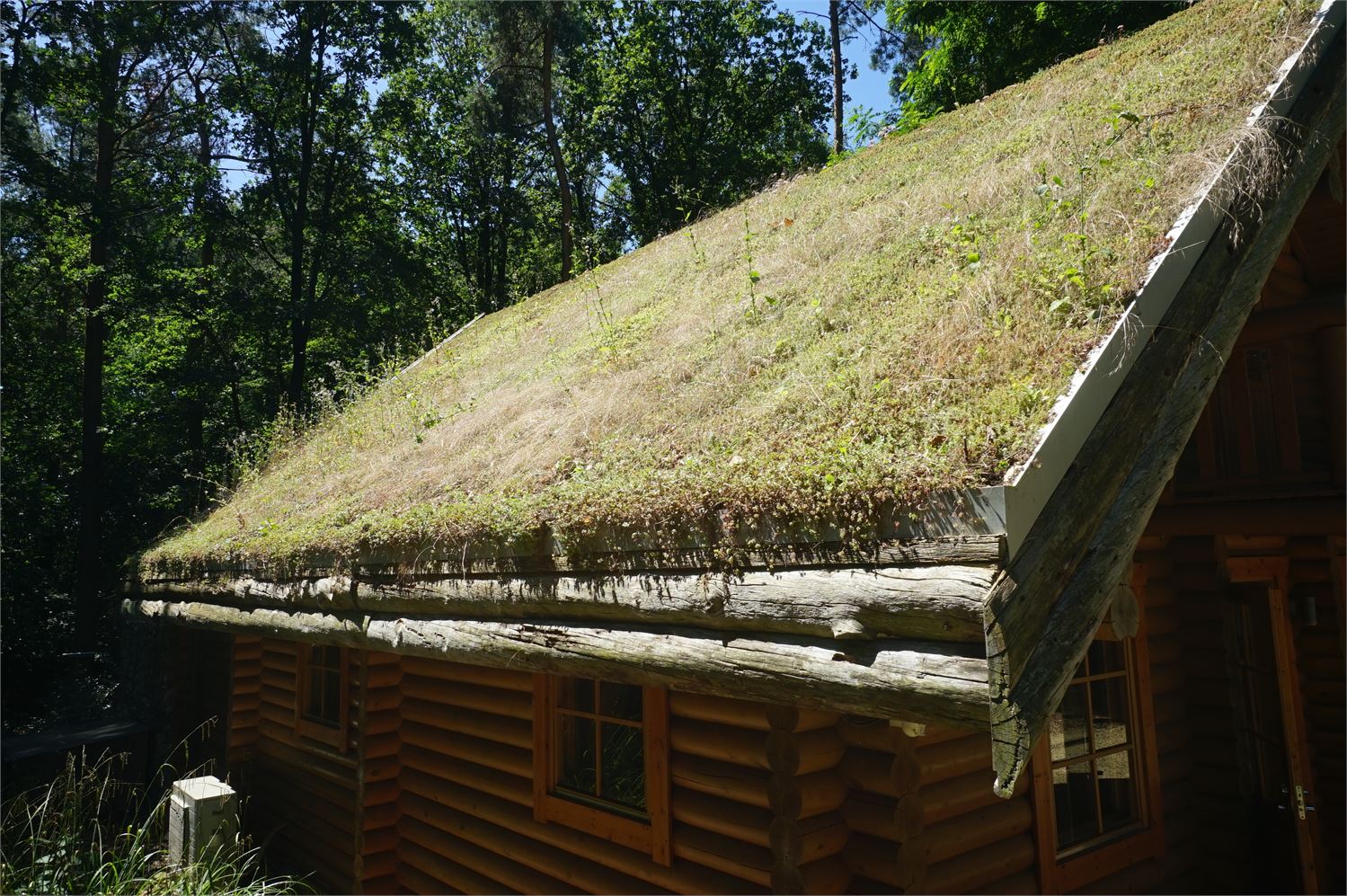 De allerlaatste Finse wellness bos blokhut , prijs vanaf foto 28