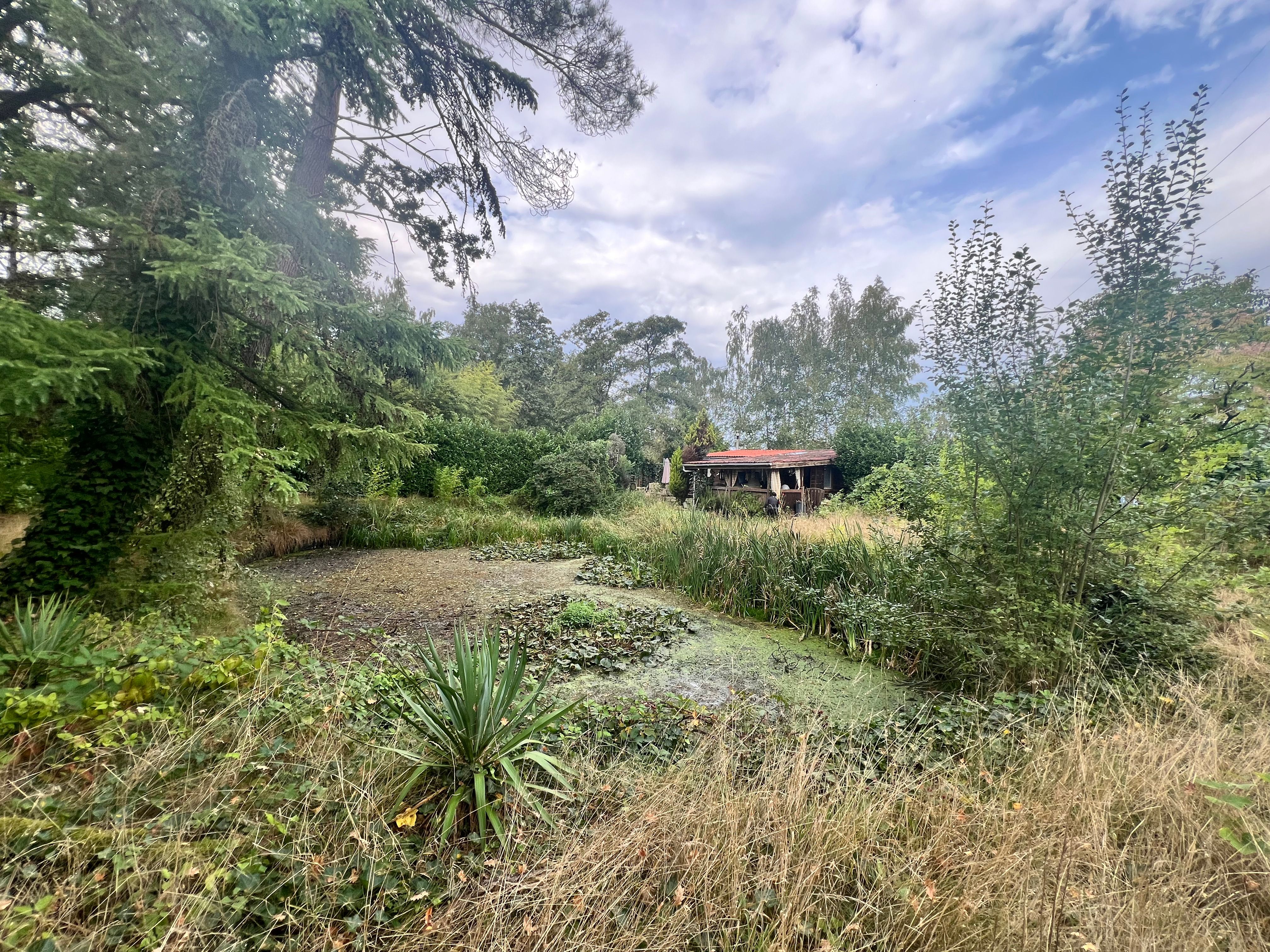 Gezellige chalet met vijver op een perceel van 1.965 m². foto 16