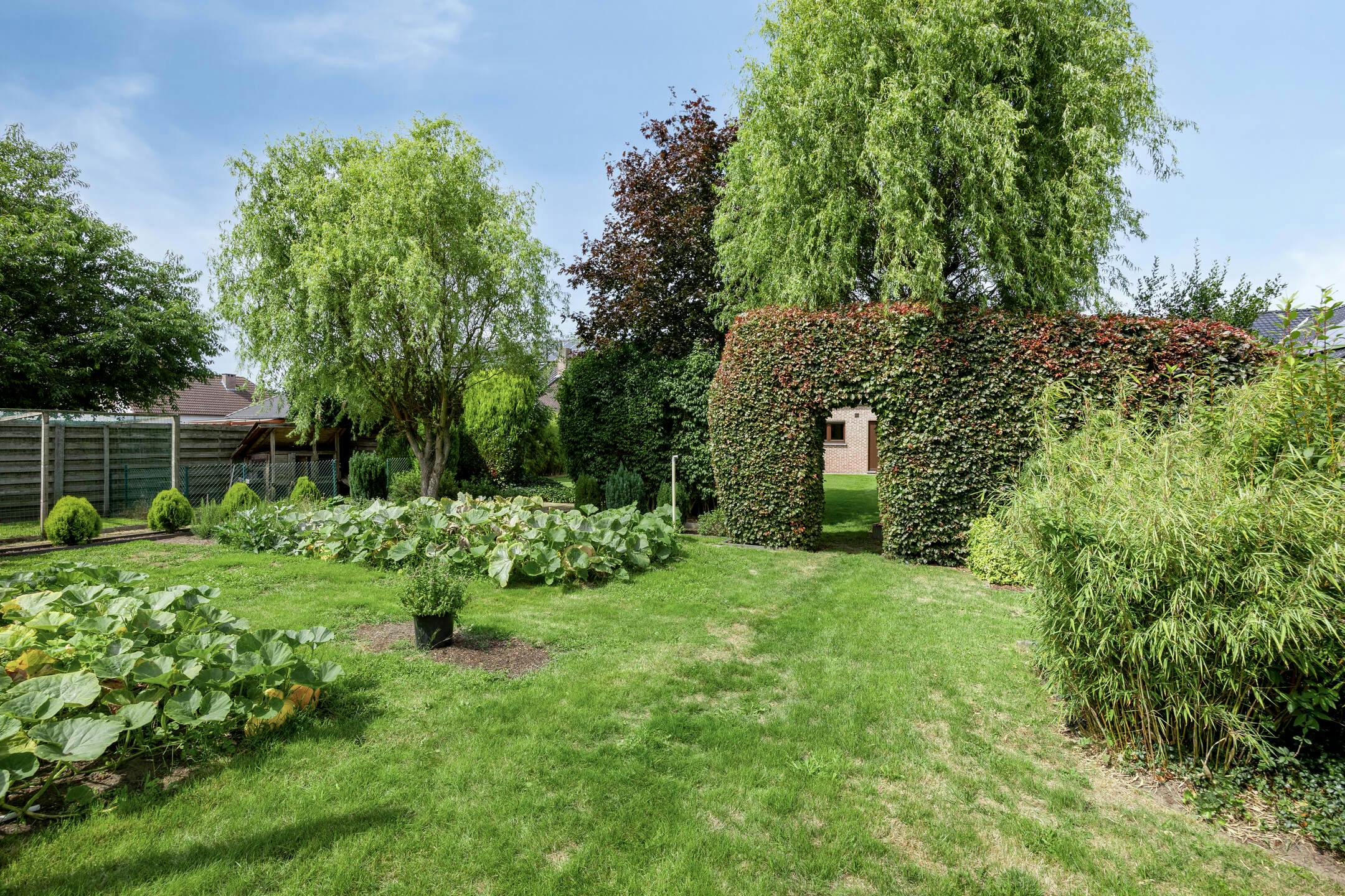 Vrijstaand huis te koop in het centrum van Kasterlee foto 30