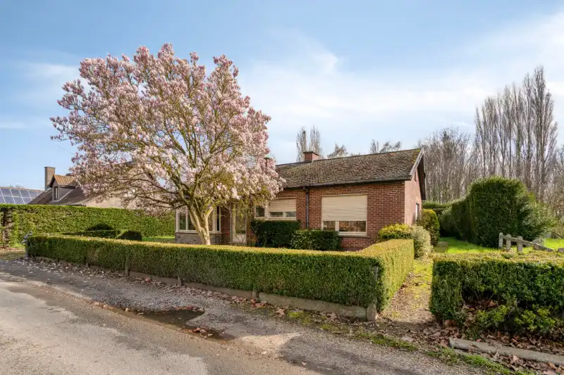 Bouwgrond in Mullem met mogelijkheid tot sloop & heropbouw aan 6% btw foto 8