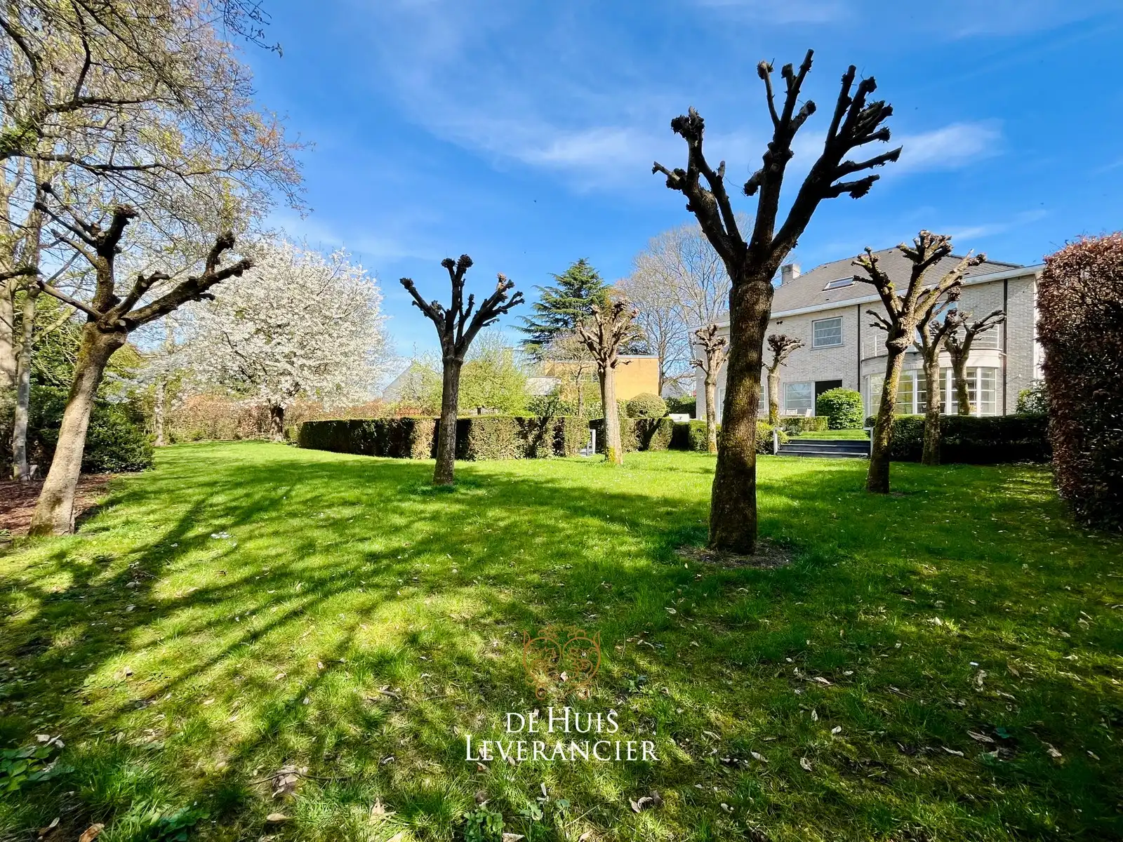 Exclusieve villa op uitzonderlijk perceel van 1 767 m², grenzend aan natuurgebied foto 10