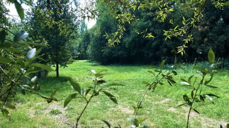 TE KOOP – Uniek stuk bouwgrond in de bossen van Lembeke – >15.000 m² foto 6