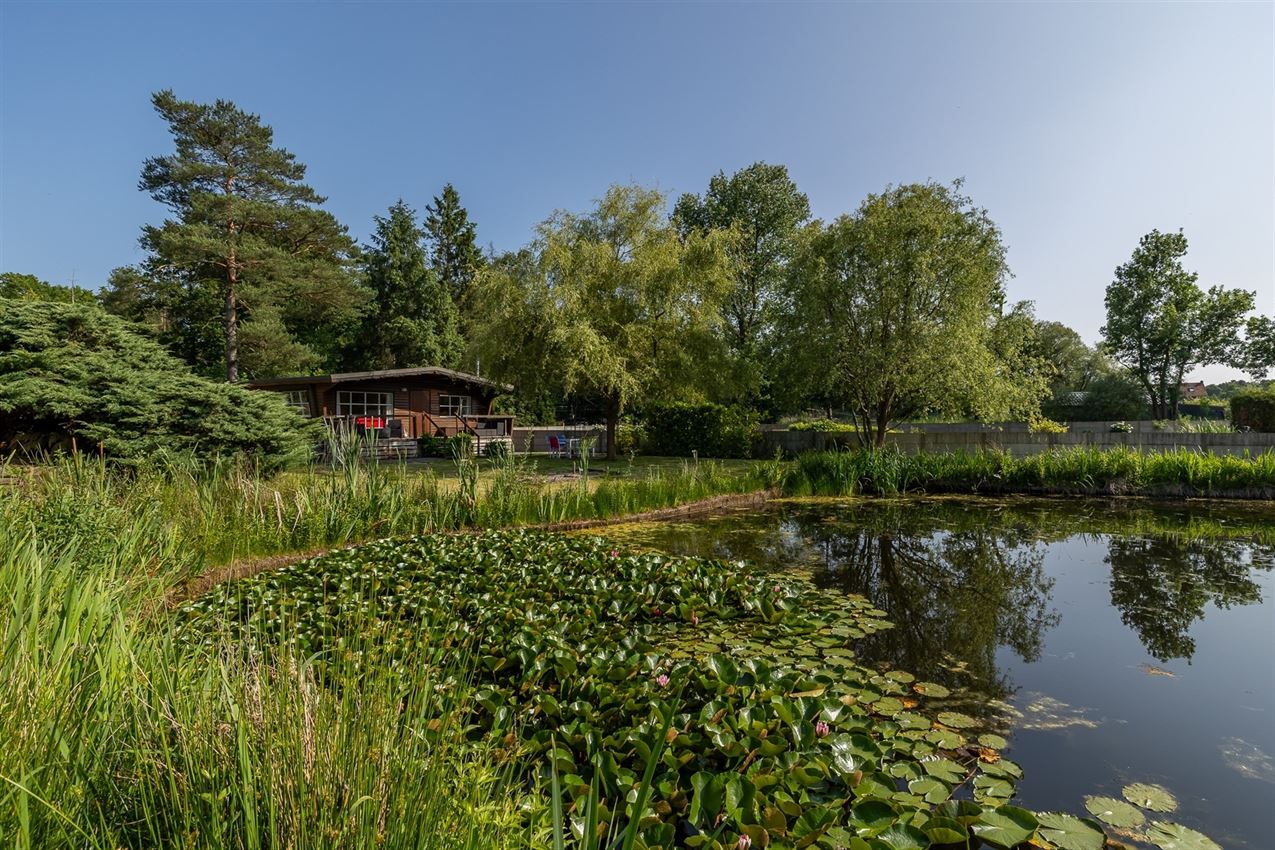 Knusse chalet op 15 are in bosrijk Herselt met vijver, terras en carport. Ideaal vakantieverblijf in het groen. foto 2