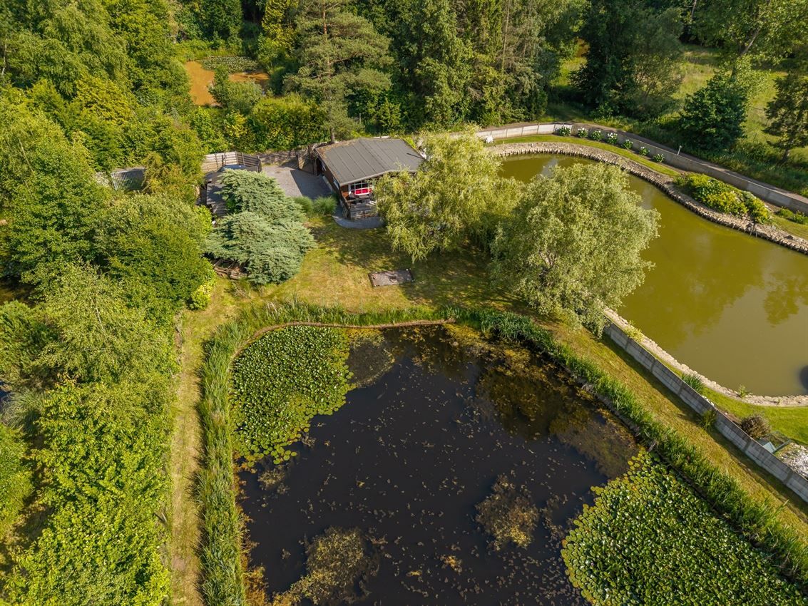 Knusse chalet op 15 are in bosrijk Herselt met vijver, terras en carport. Ideaal vakantieverblijf in het groen. foto 2