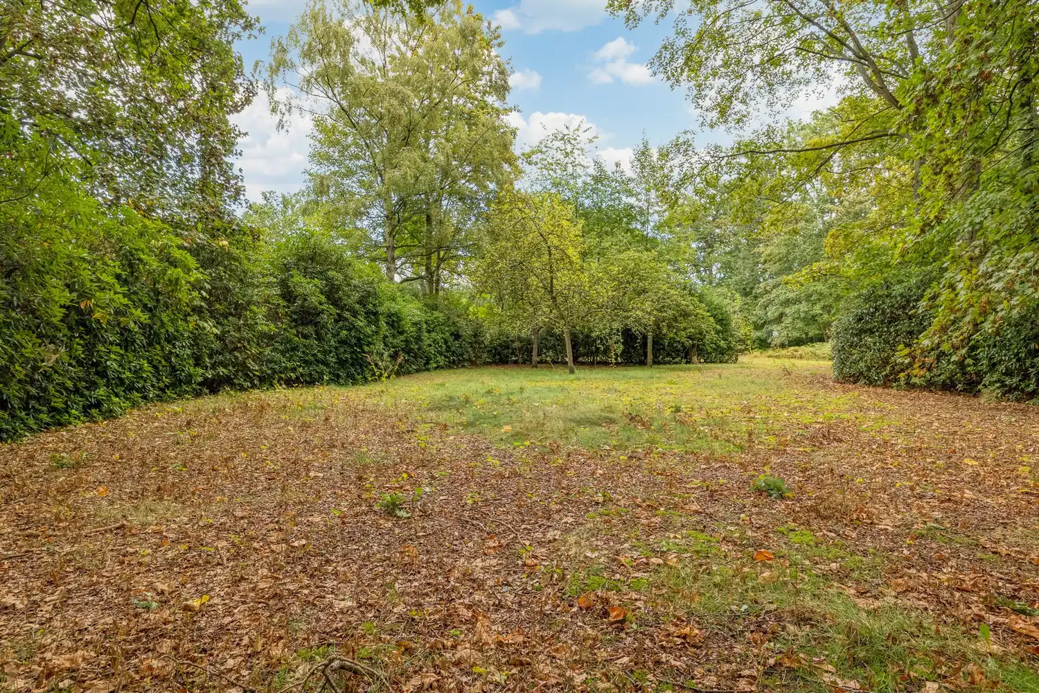 Karaktervolle te renoveren rietgedekte villa op een uitzonderlijk parkdomein van 13.670 m² in Vriesdonk (inclusief bouwgrond van ca. 4.543m²!) foto 39