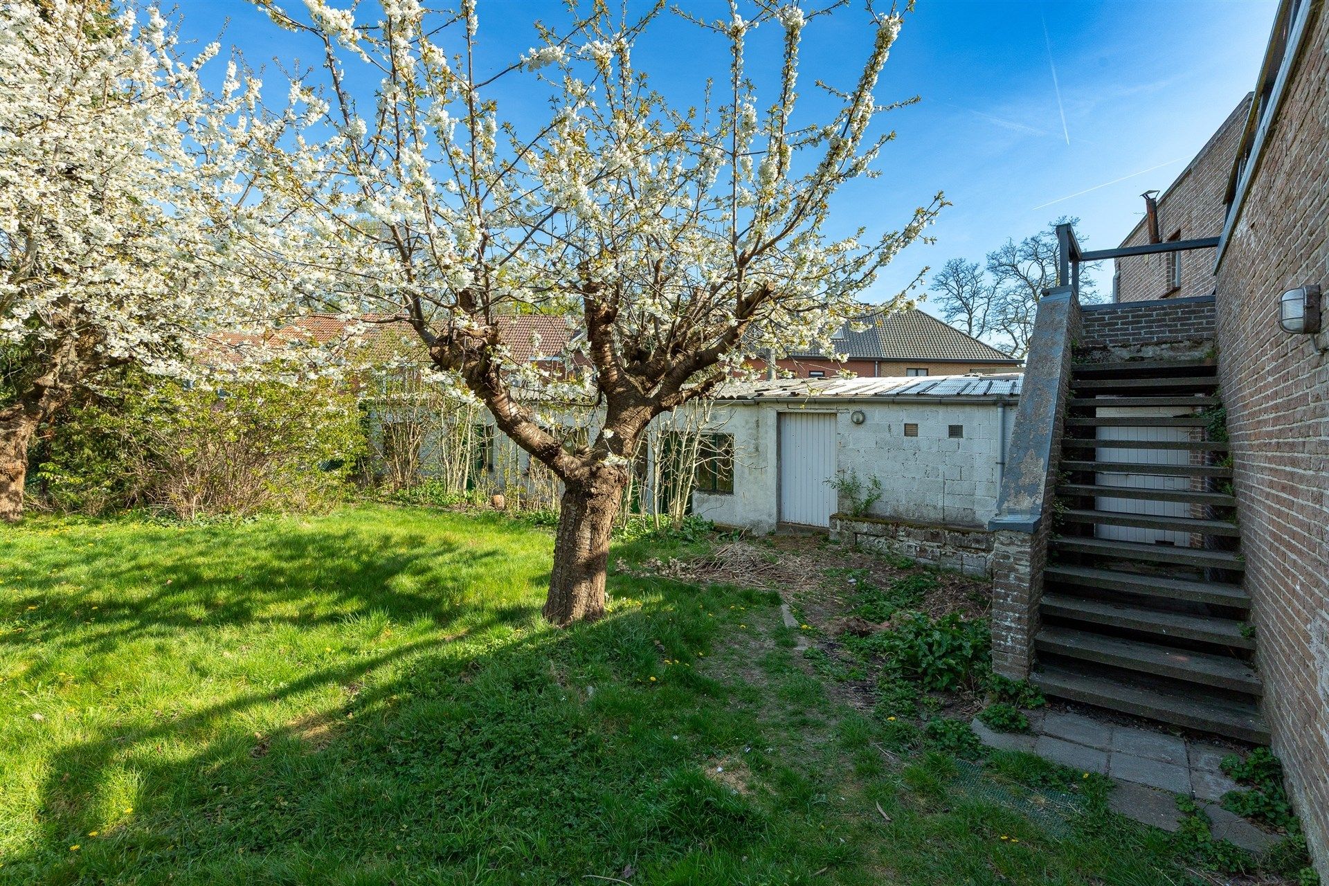 centraal gelegen renovatiewoning met grote tuin en verder potentieel foto 7