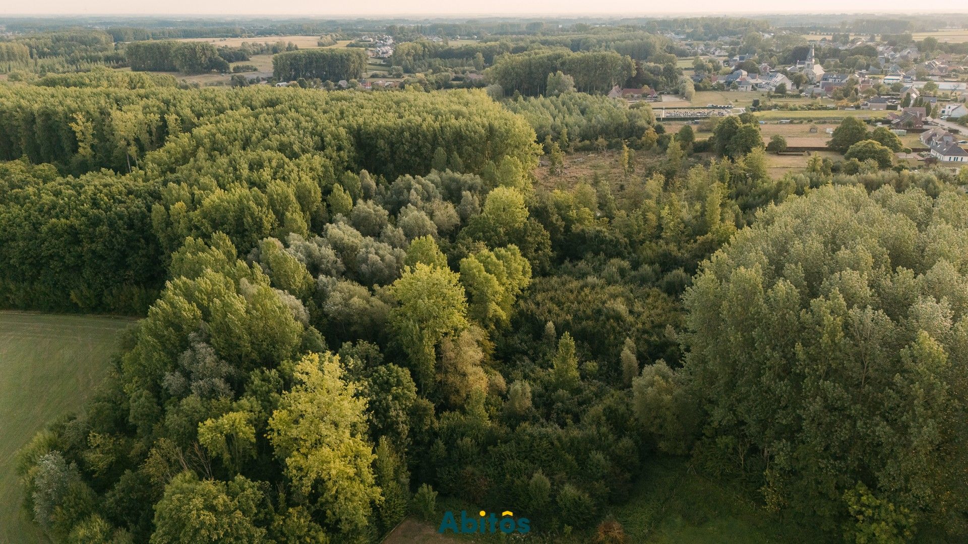 Bosgrond van 11.800 m² foto {{pictureIndex}}