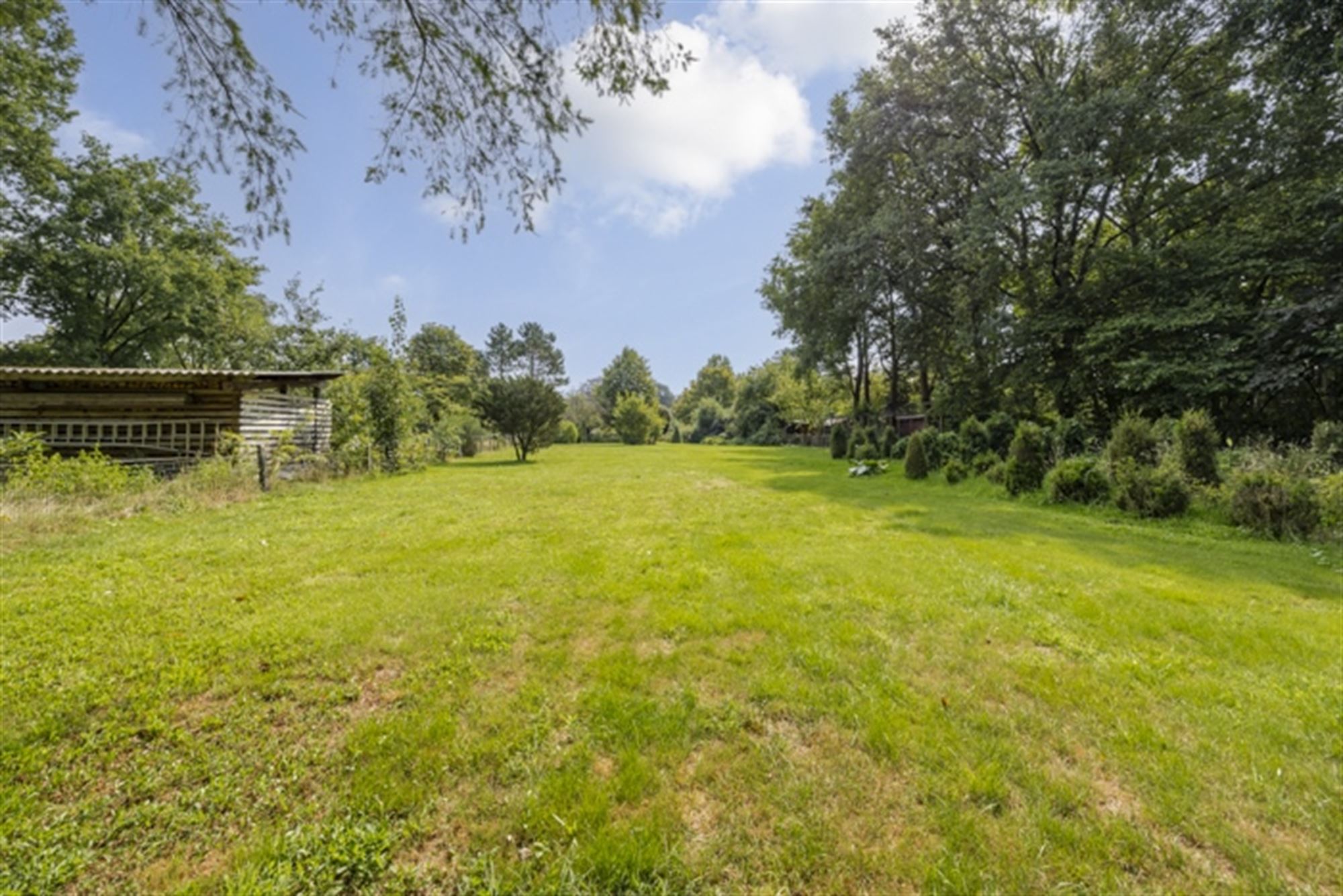 Landhuis met bijgebouwen op 3835 m² op rustige ligging foto 28