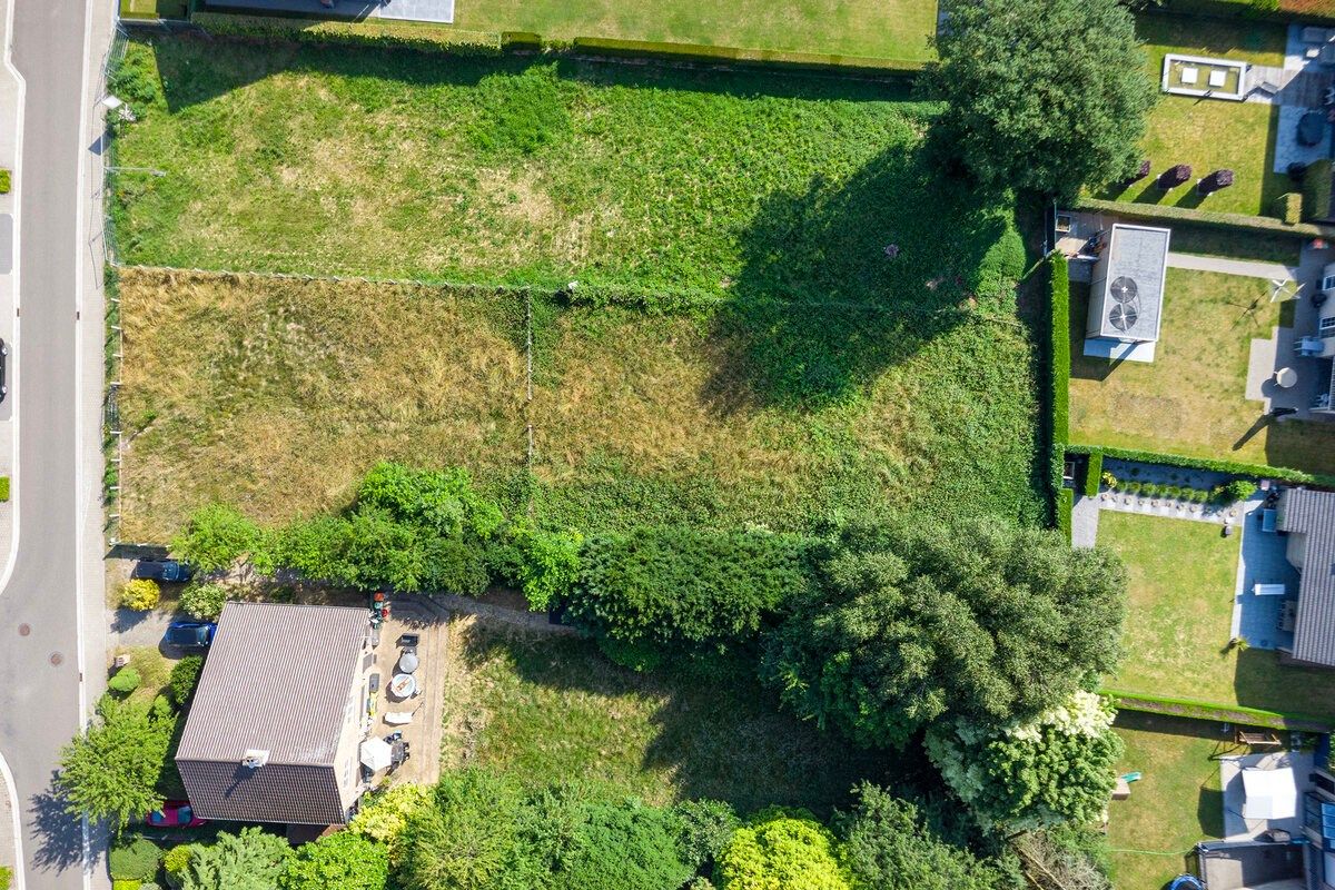 BOUWKAVEL VAN 1.463 m² OP DE WIJNGAARDSTRAAT TE LANAKEN!  foto 5