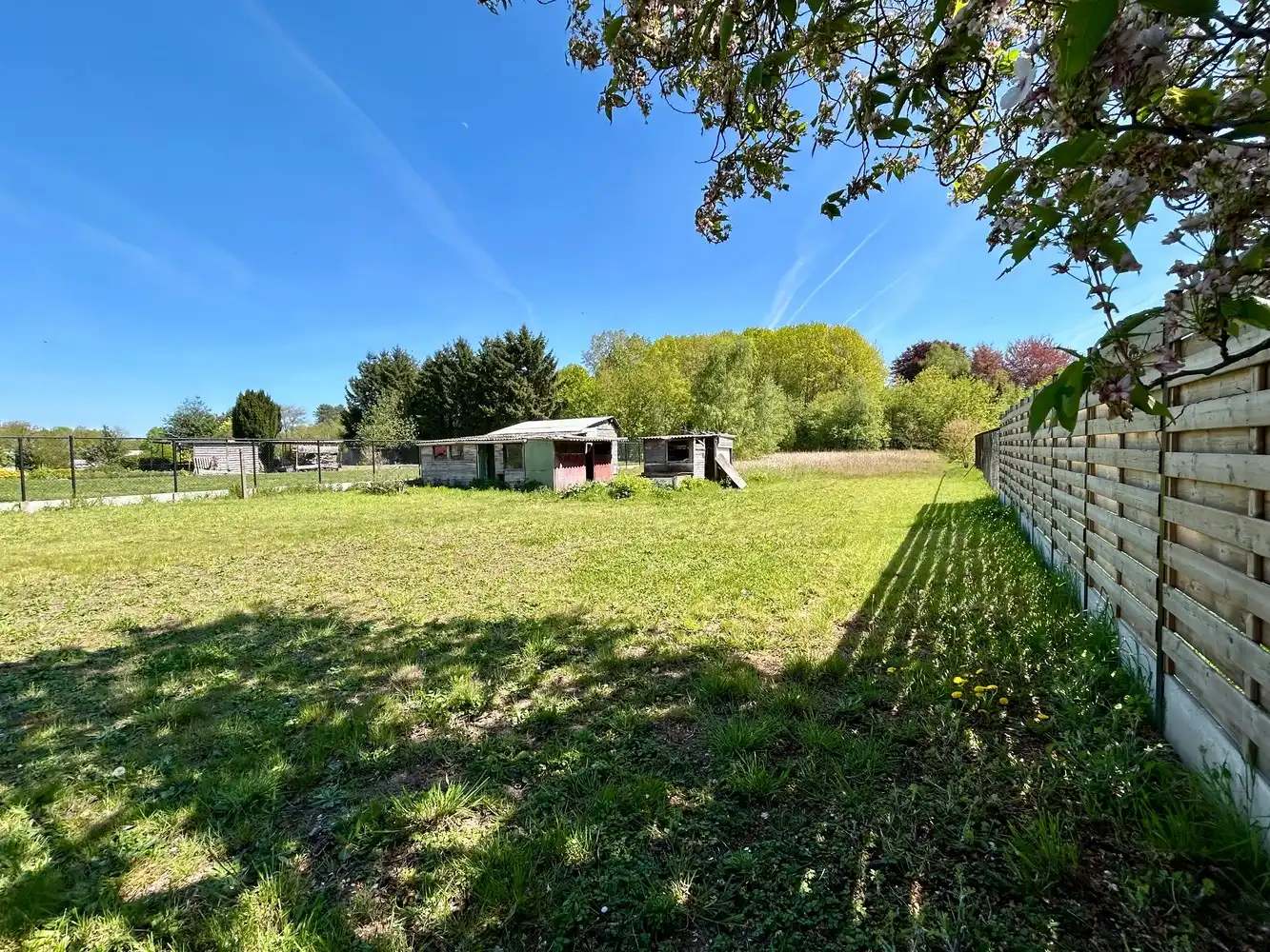 Te renoveren woning op bijna 30 are in Rotselaar foto 17