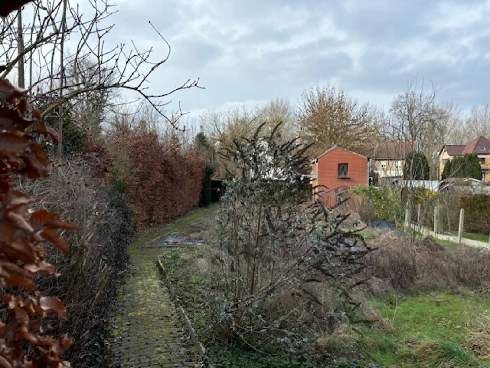 Bouwgrond halfopen bebouwing te Landen foto 3