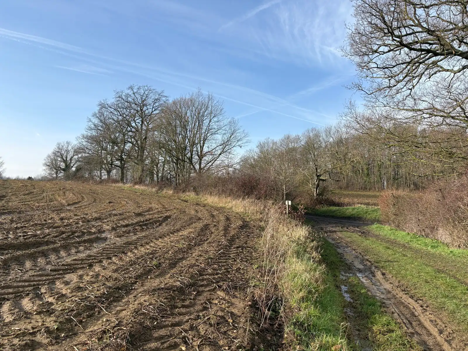 Grote landbouwgrond  foto {{pictureIndex}}