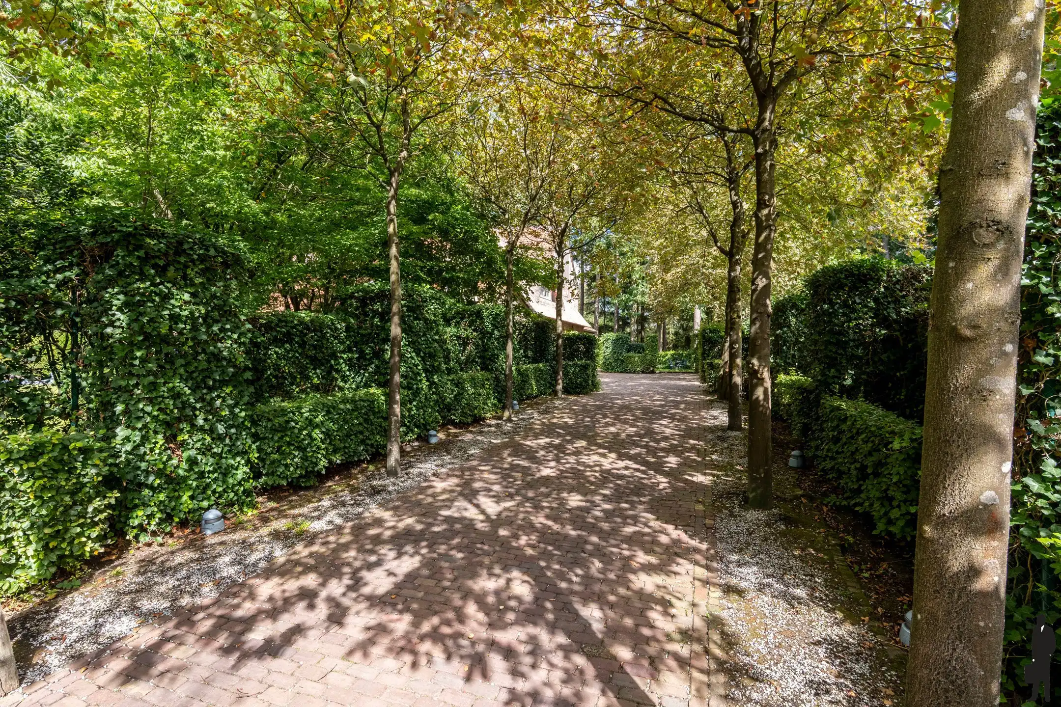 Tijdloze villa met 5 slks, 2 bdks en buitenzwembad foto 3