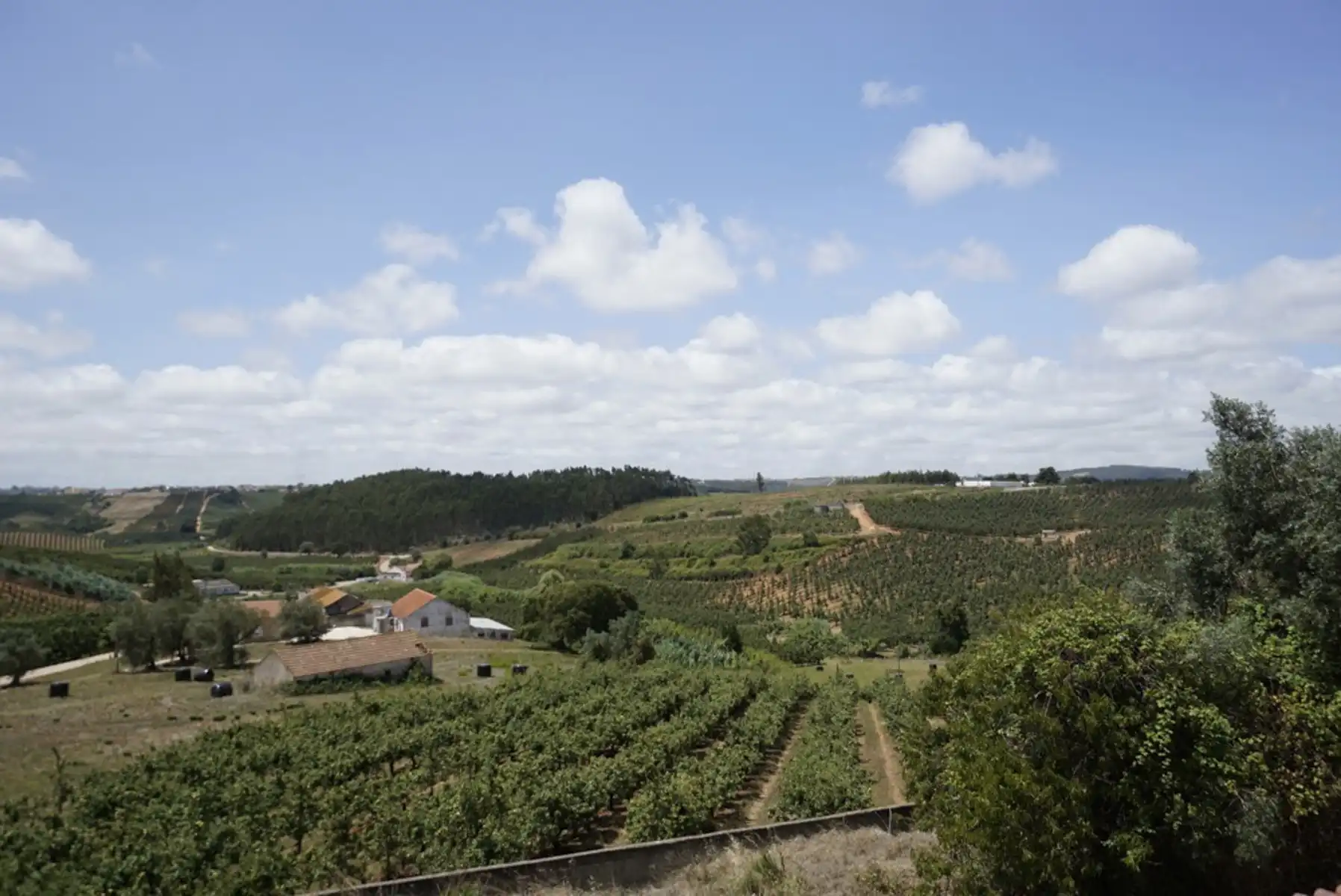 Huis te koop foto 14