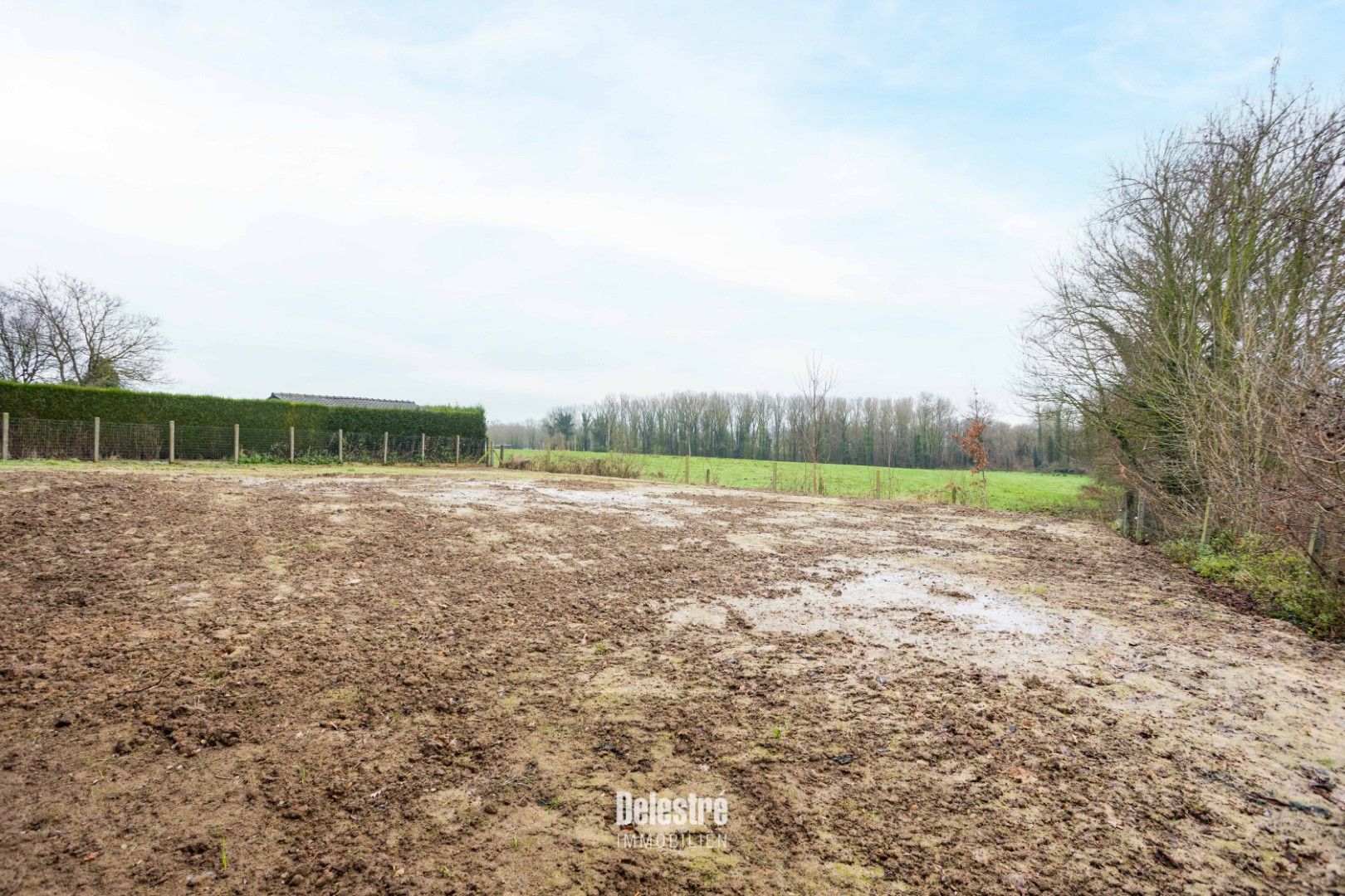 TWEE ENERGIEZUINIGE NIEUWBOUWWONINGEN  foto 49