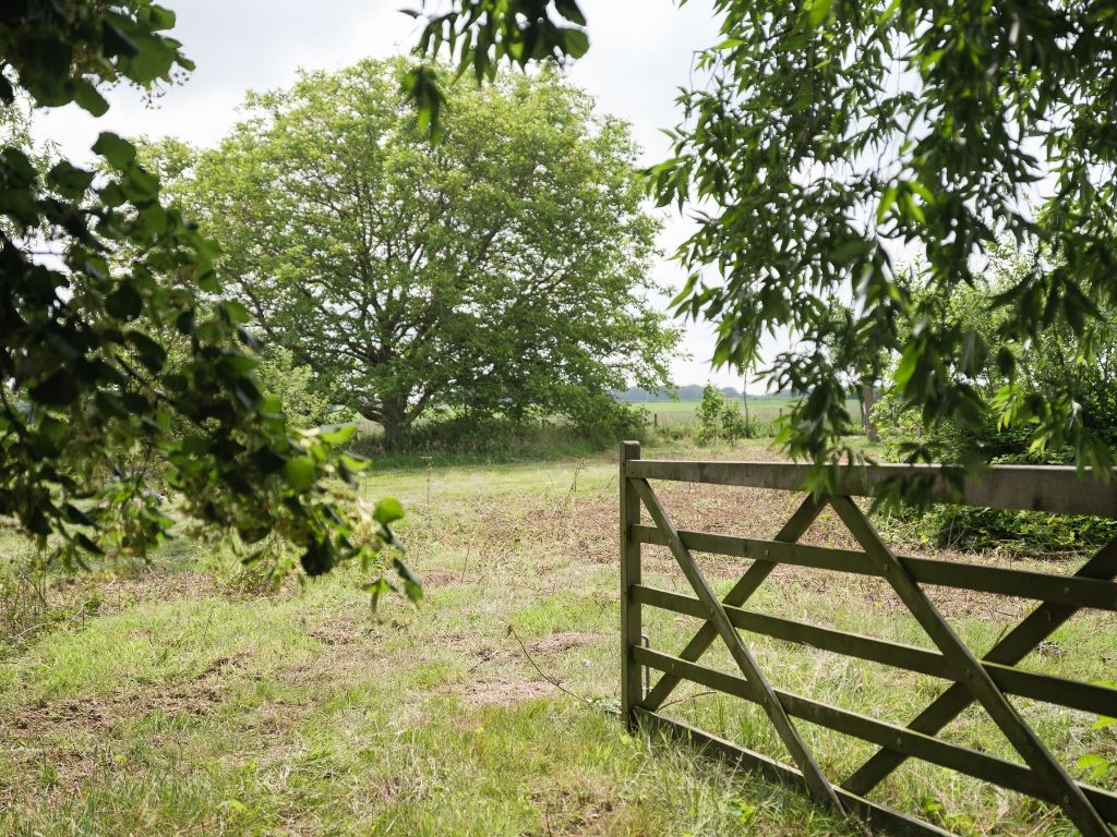 Dikkelvenne – Terrein van 2.179 m² met op heden nog een te renoveren hoeve, omgeven door groen en weides. foto 5