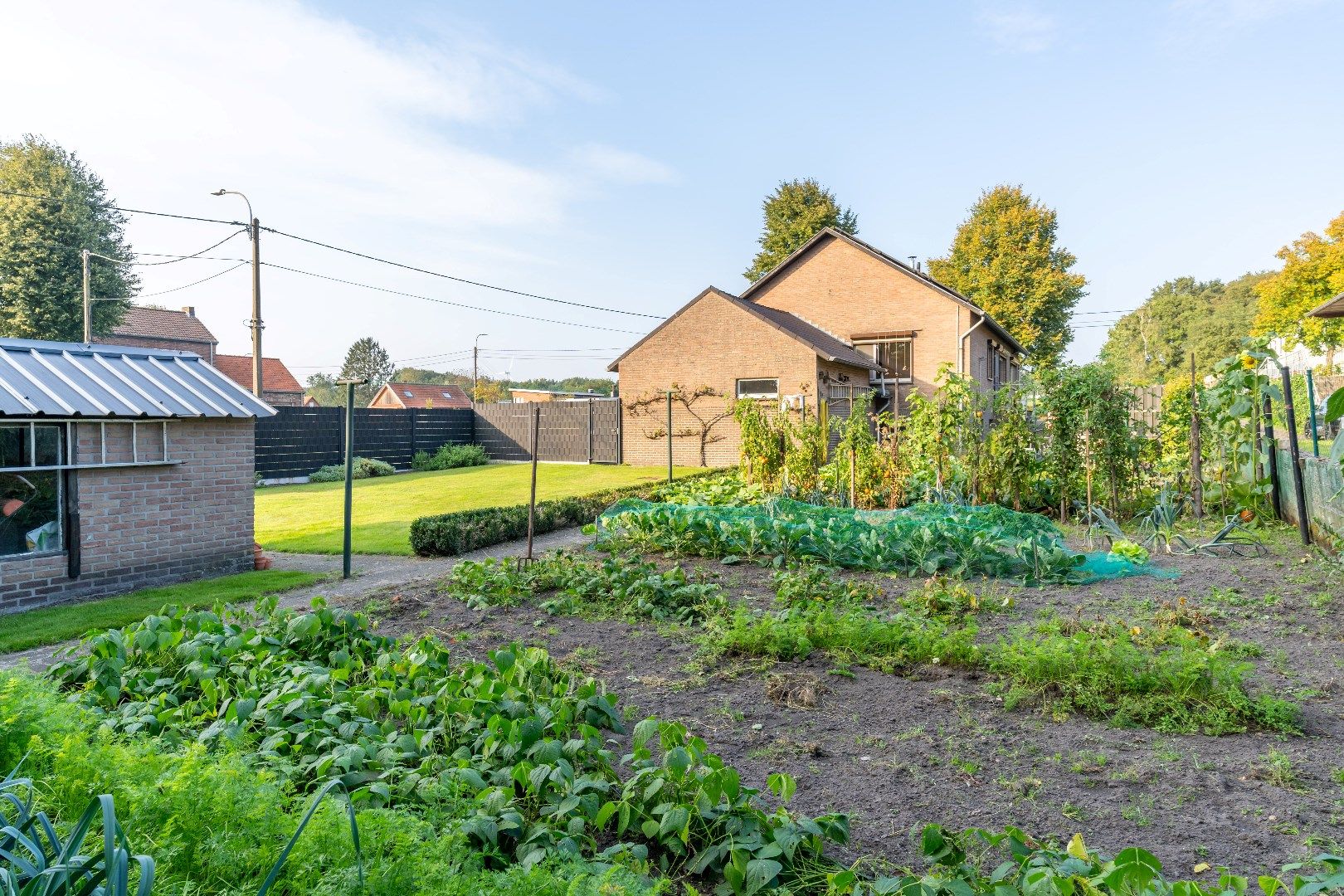 Energiezuinige bungalow vlakbij de mijncite van Genk. foto 10