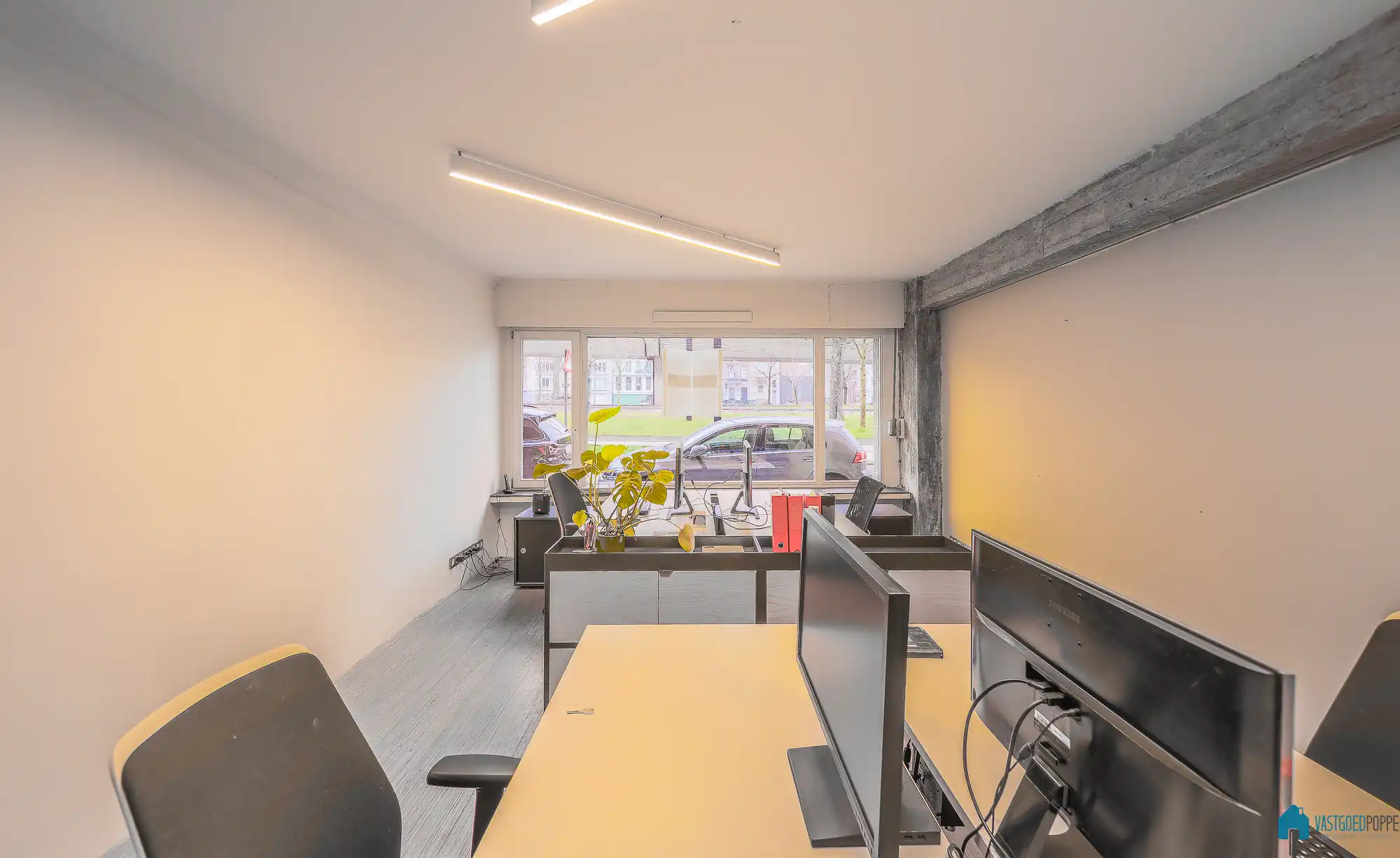 Gelijkvloers-appartement palend aan het Zuidpark foto 4