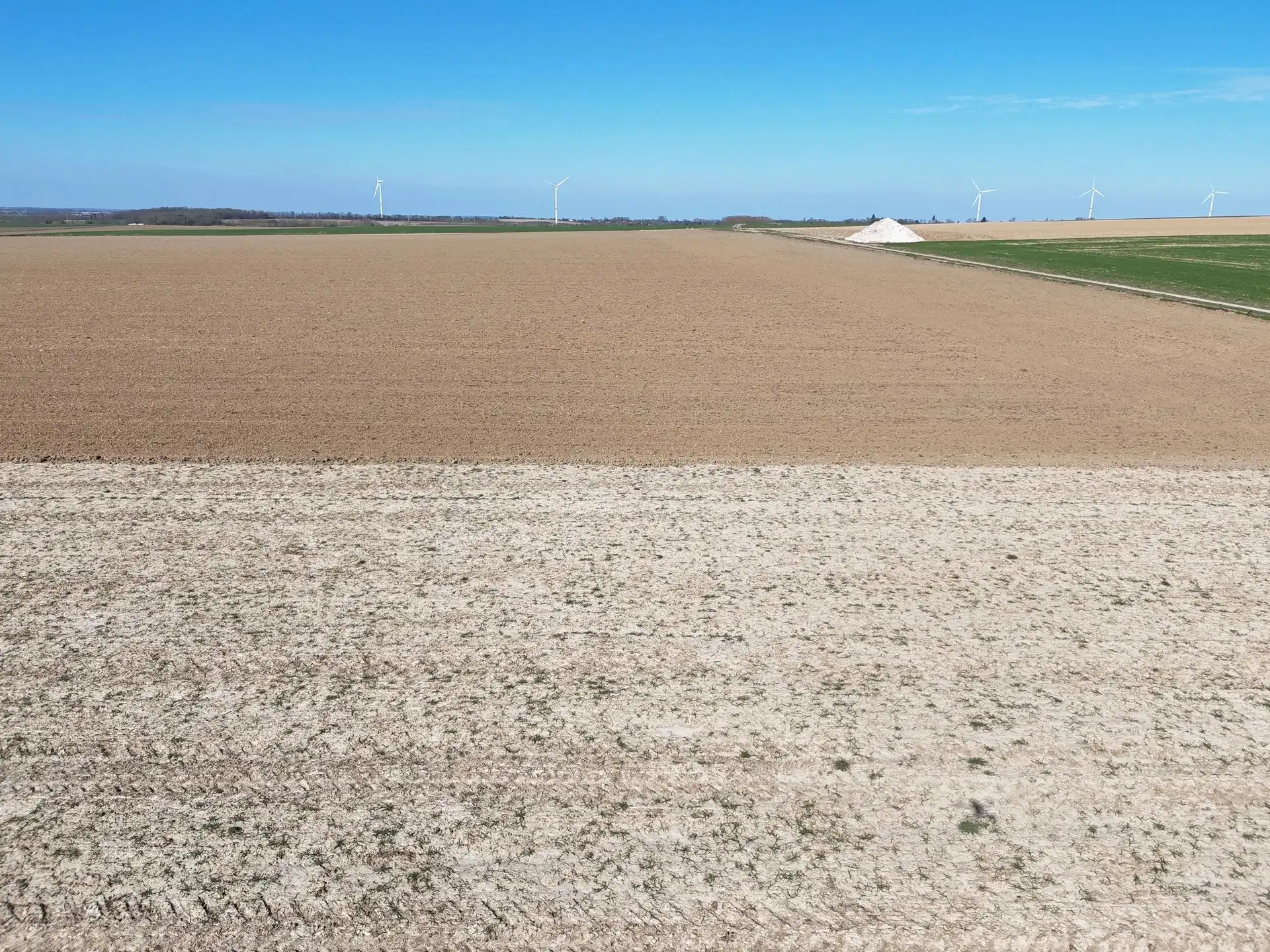Groot perceel landbouwgrond - BLOK C foto 5