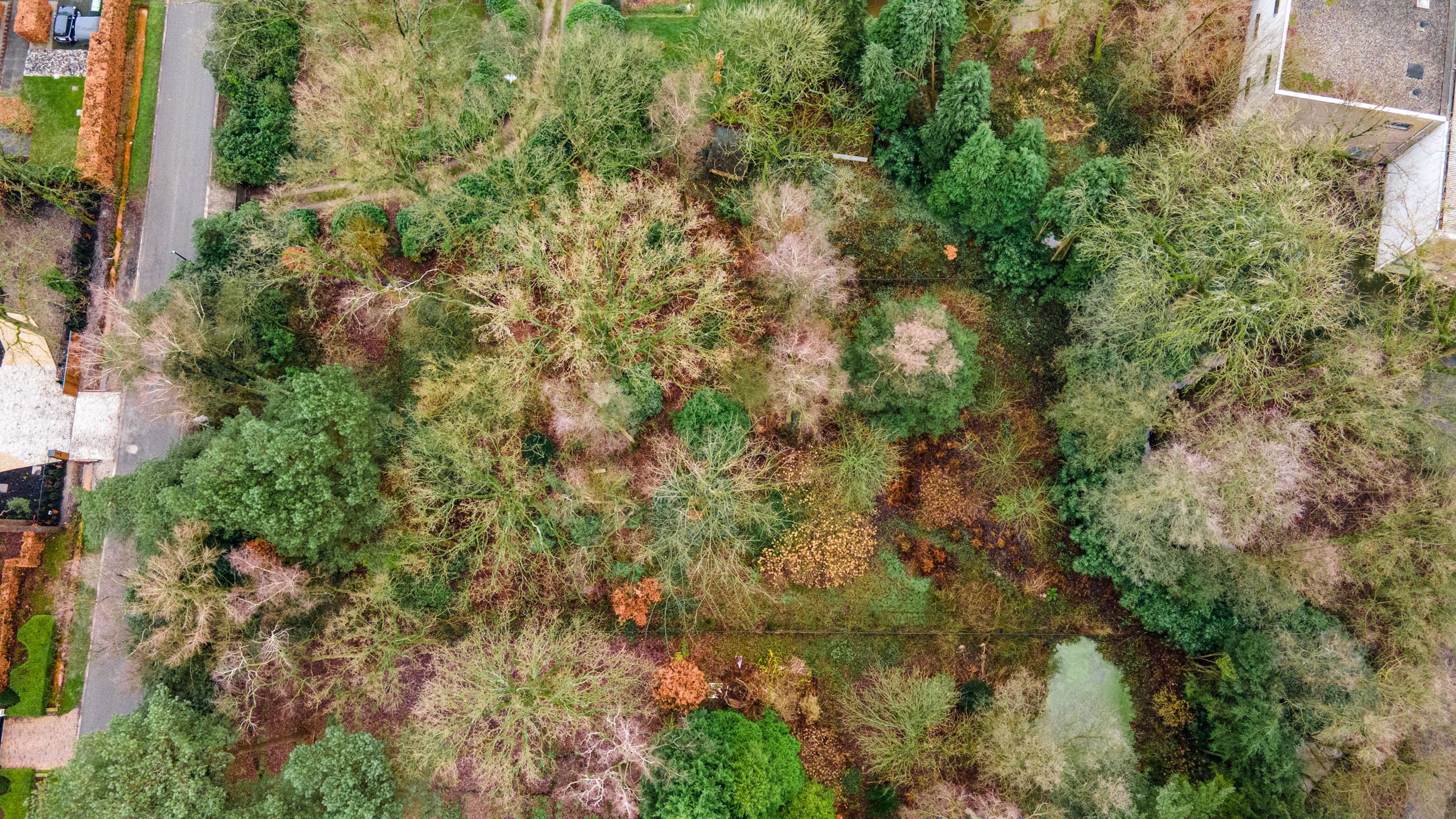 Mooi gelegen bouwgrond op 2.404 m² in een rustig gelegen gegeerde omgeving aan het einde van een doodlopende straat. foto 2