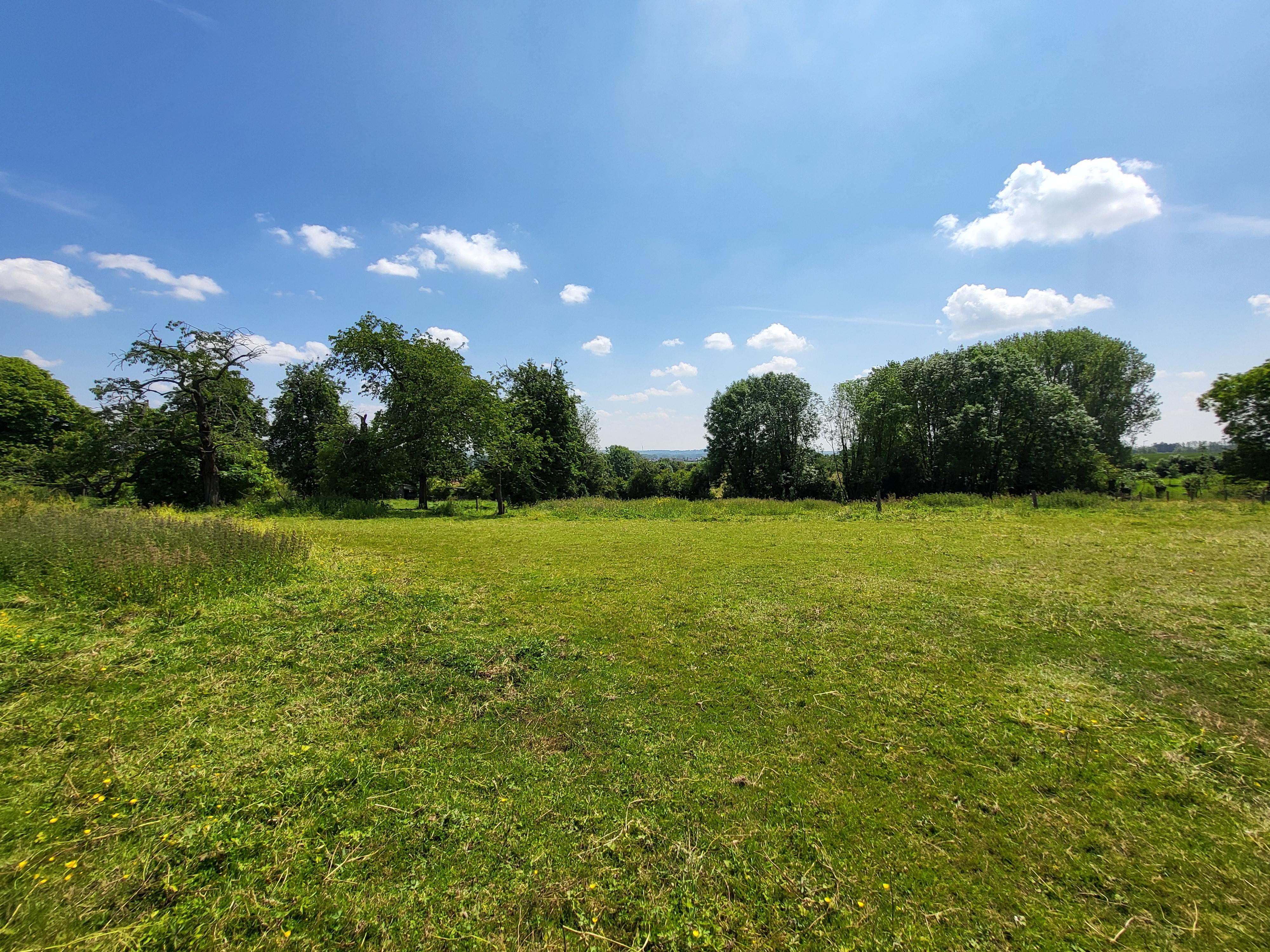 Prachtige villa op 1273m² met zwembad, aangelegde tuin, gelegen hartje Vlaamse Ardennen!  foto 11