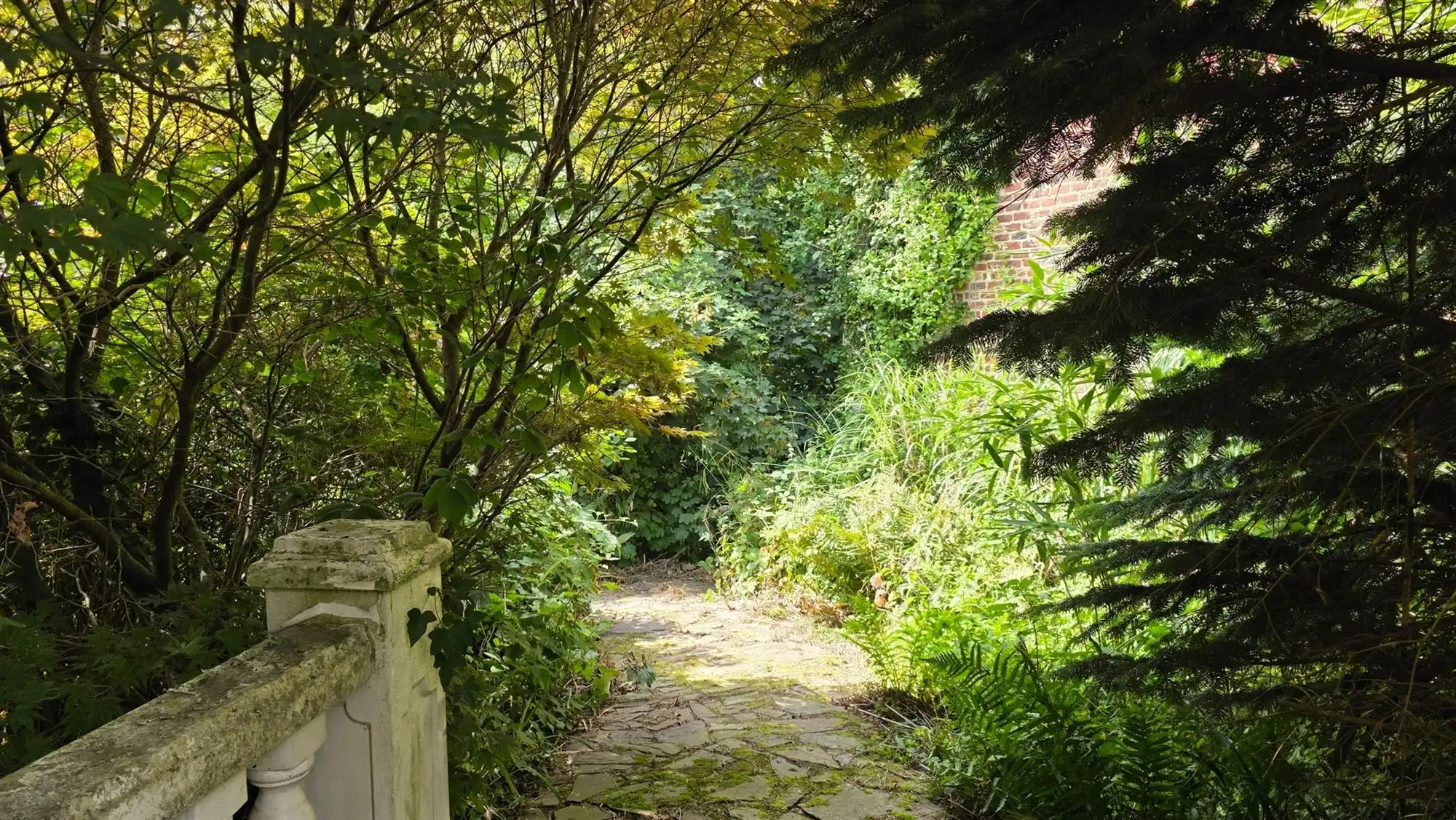 Ruime villa foto 27