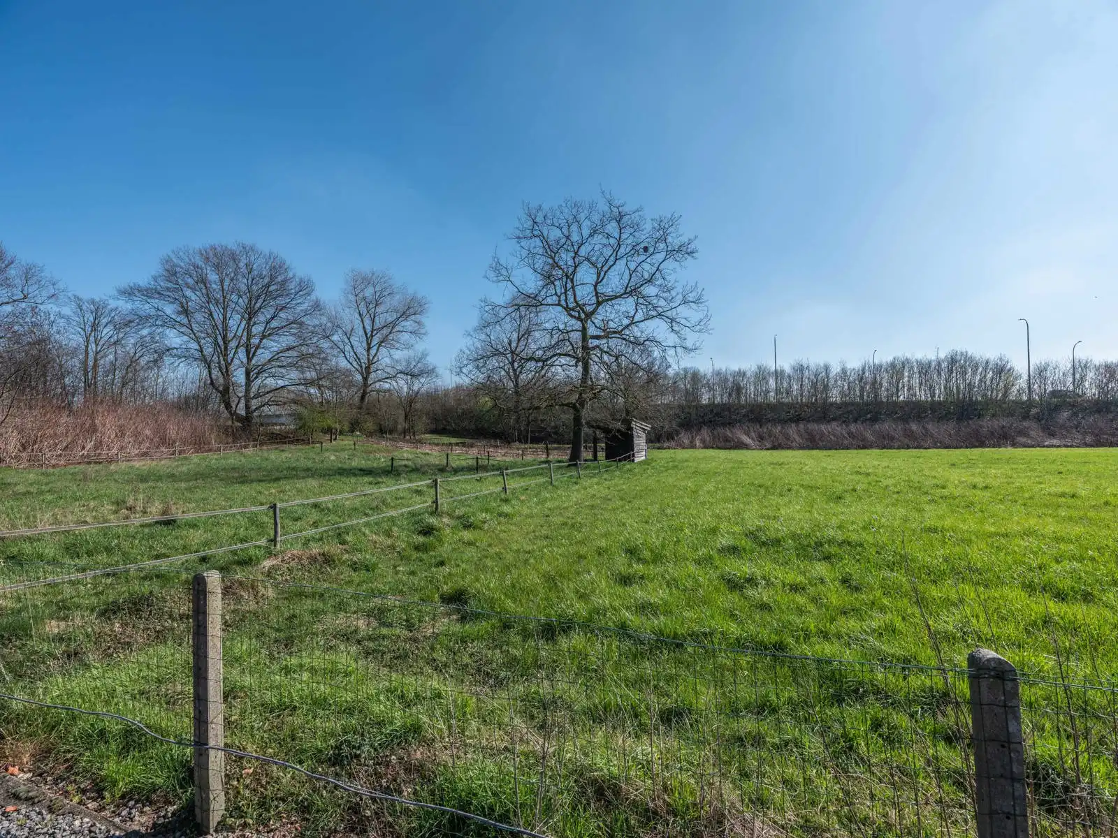 Huis te koop foto 44