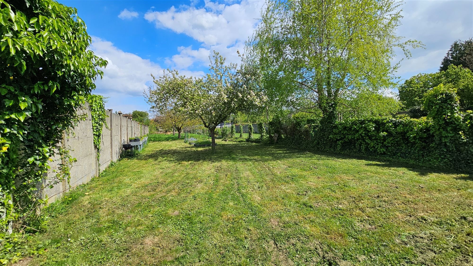 Aangename drie-gevel en bel-étage woning met grote tuin foto 21