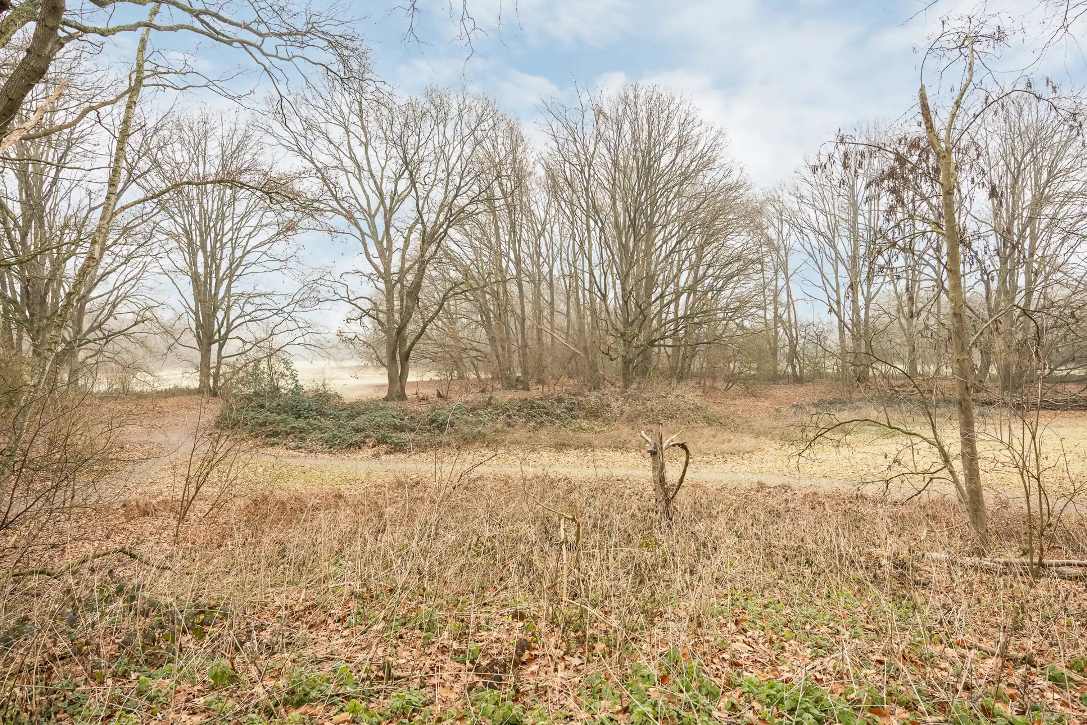 Gerenoveerd appartement nabij een groene omgeving foto 14