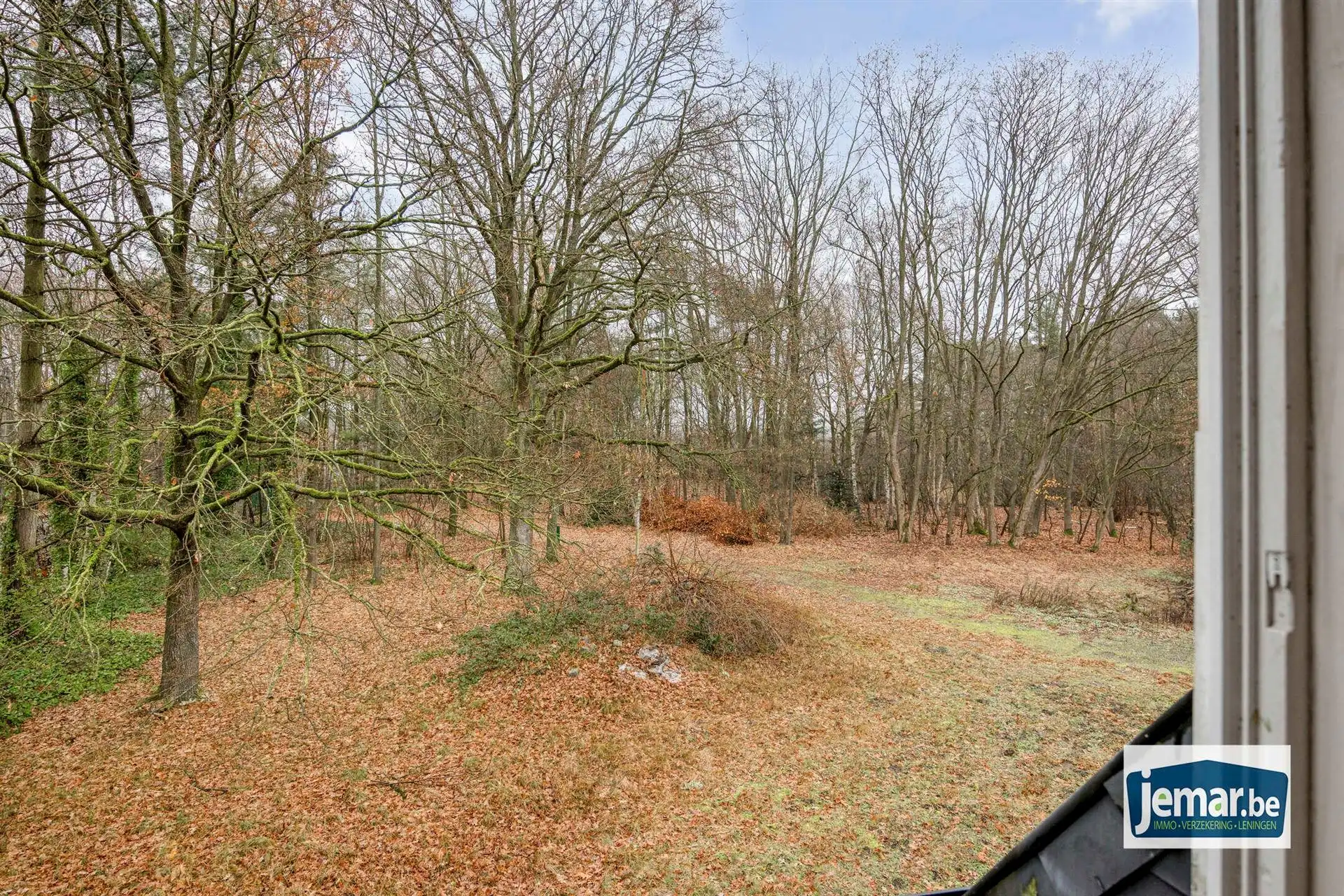 Villa met professionele opslagruimte, kelder en kantoorruimtes. foto 37