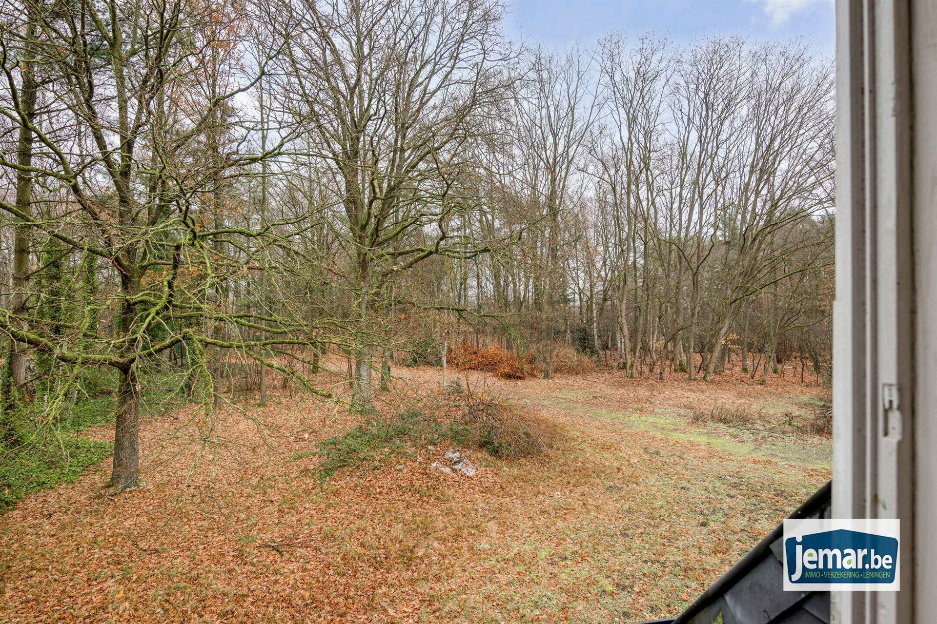 Villa met professionele opslagruimte, kelder en kantoorruimtes. foto 37