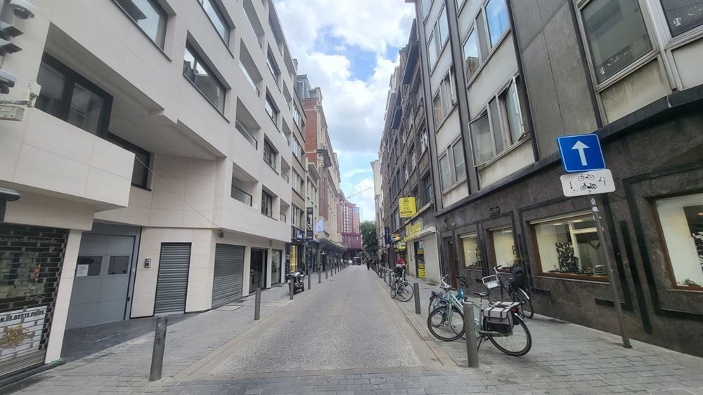 Gerenoveerd appartement | Antwerpen-Centrum foto 14