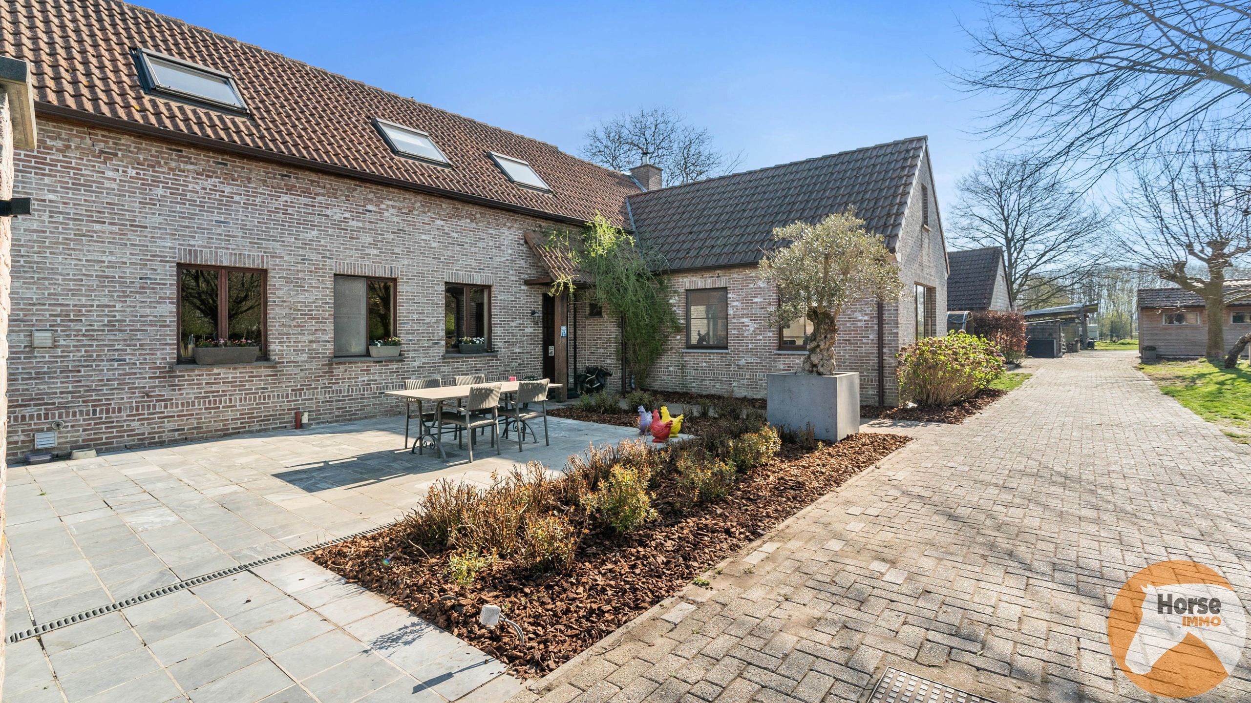 BERLARE - Instapklare woning met stallen en weides foto 10