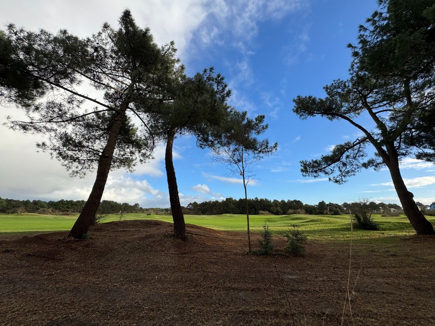 Te renoveren charmante koppelvilla gelegen in een paadje met panoramisch open zicht op de Royal Zoute Golf. foto 17