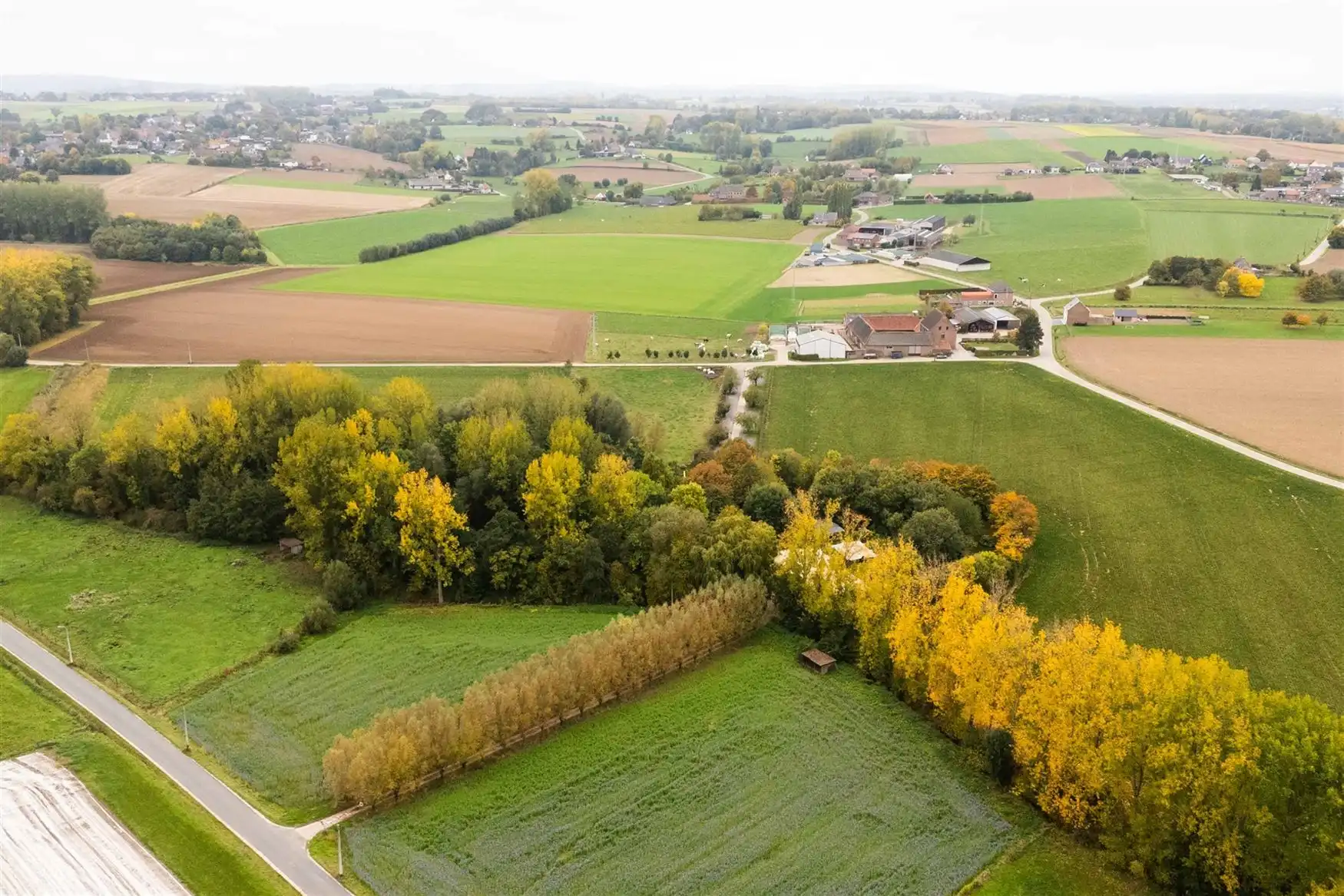 Uniek eigendom te koop: de Zwadderkotmolen. foto 10