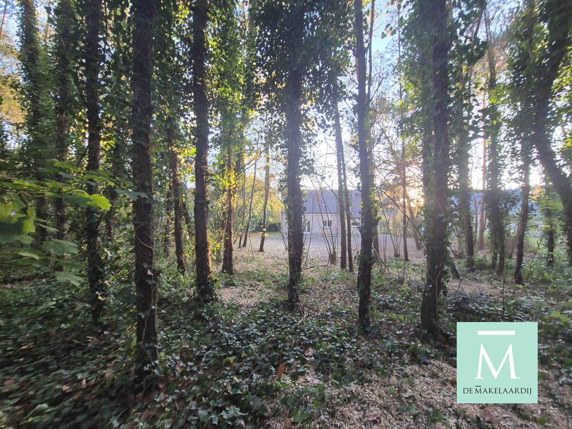 Charmante woning met 3 slaapkamers gelegen in een rustige buurt foto 3