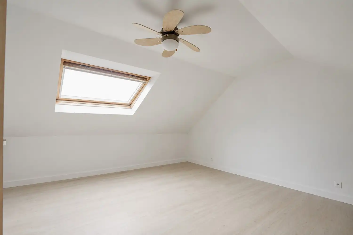 WONEN TUSSEN ZEE & GROEN foto 12