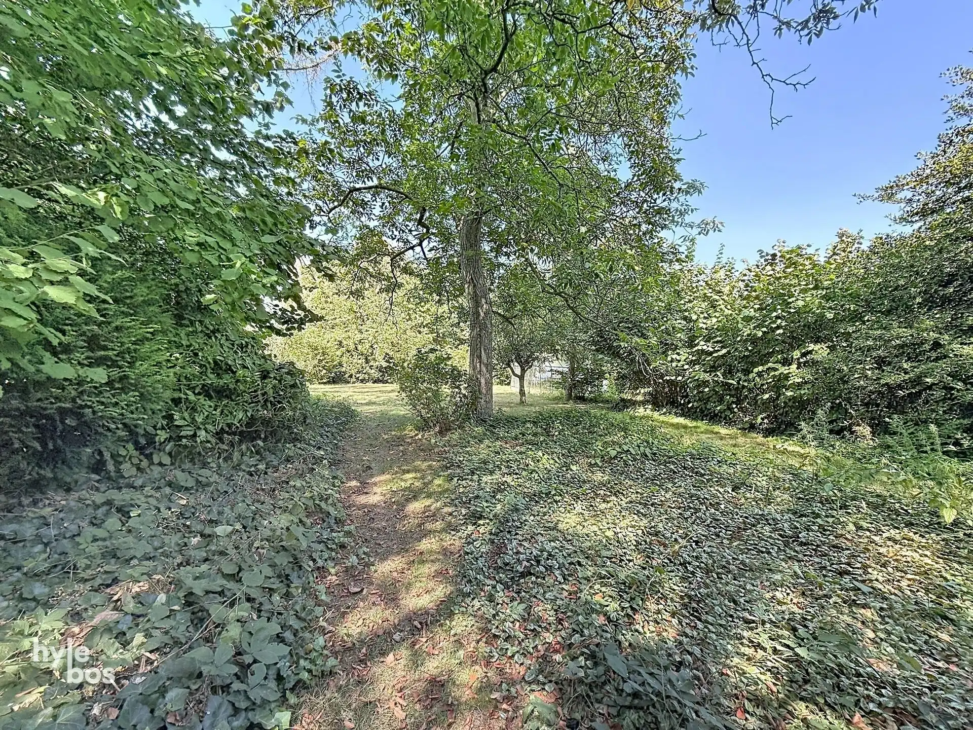 Ruime open bebouwing met zeer grote tuin foto 27
