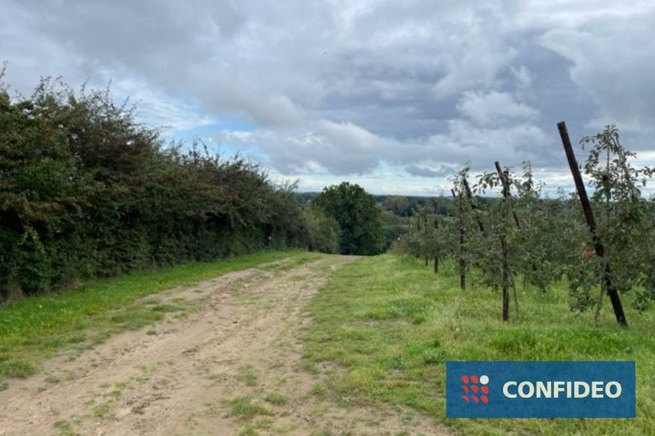 Bouwland/Boomgaard Laag/Bos foto {{pictureIndex}}