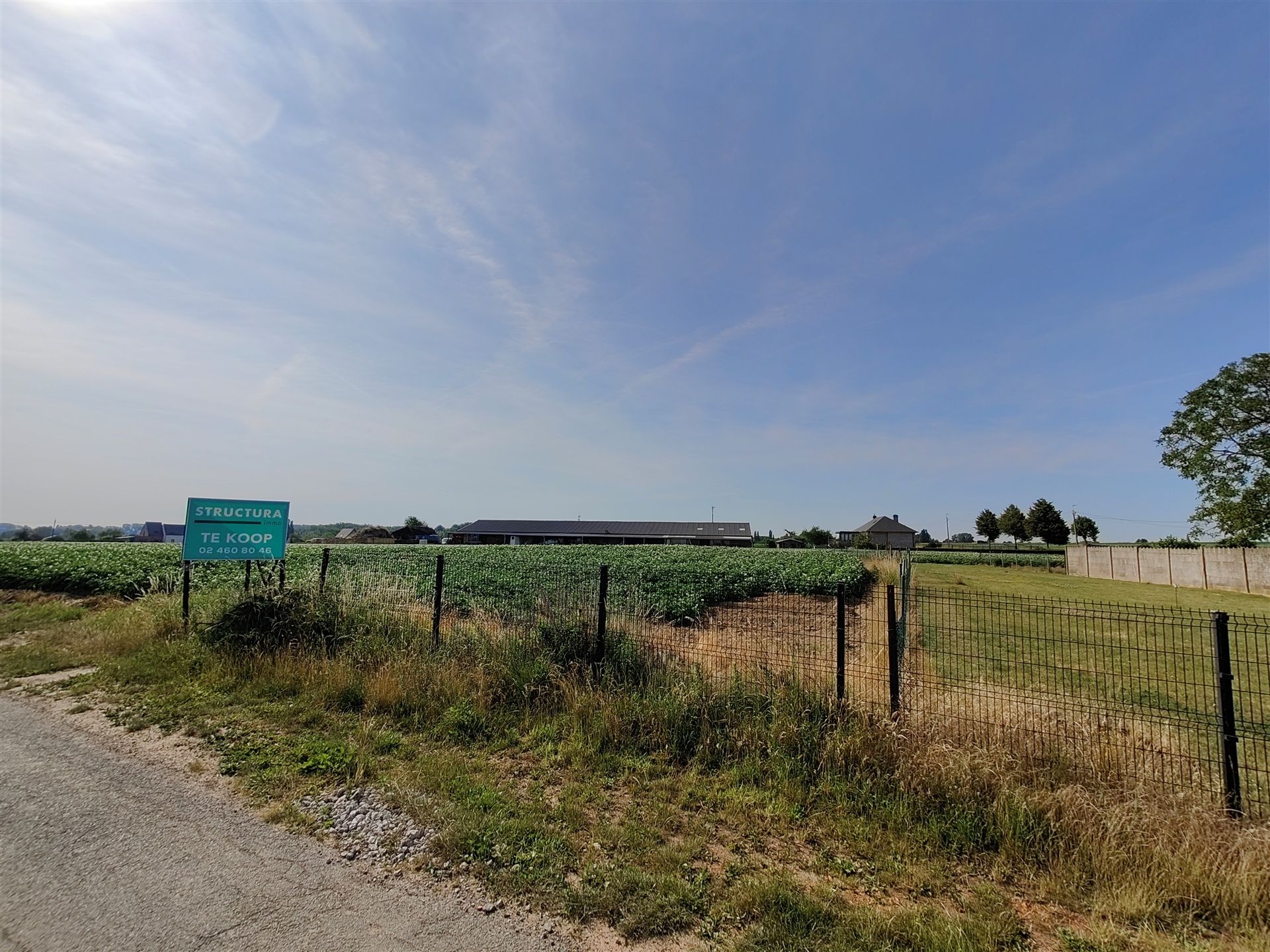 Bouwgrond voor open bebouwing in het groen foto 6