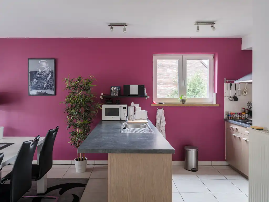 Gentbrugge - Licht op te frissen appartement met 2 slaapkamers en terras. foto 8