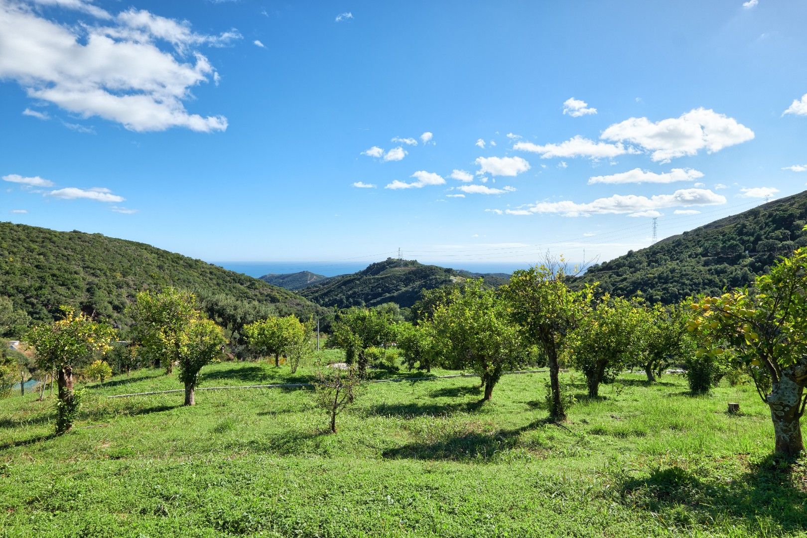 Finca dicht bij de Sierra Bermeja berg.  foto 39