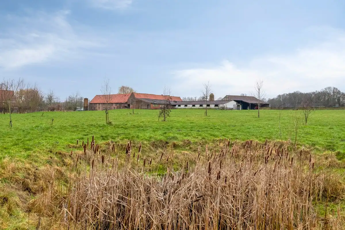 Prachtige te renoveren hoeve op meer dan 2 hectare! foto 7