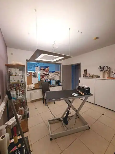 Instapklaar handelspand met 2 polyvalente ruimtes te huur in Loppem Zedelgem foto 5