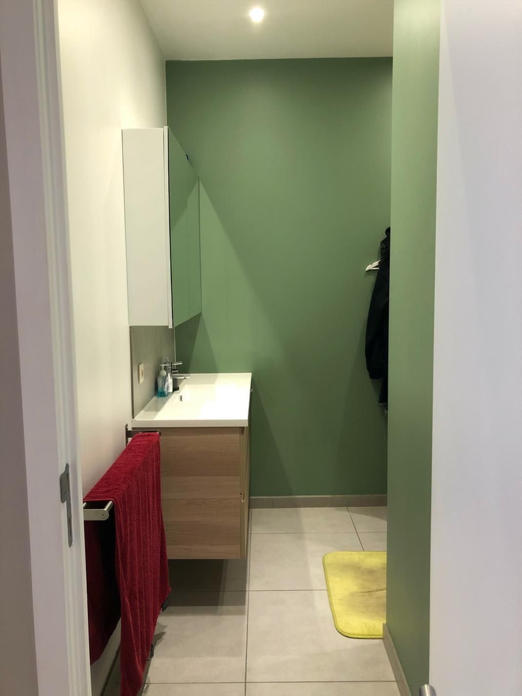 Instapklare ruime gerenoveerde woning met ruime uitbouw achteraan, groot zonneterras en koer foto 6