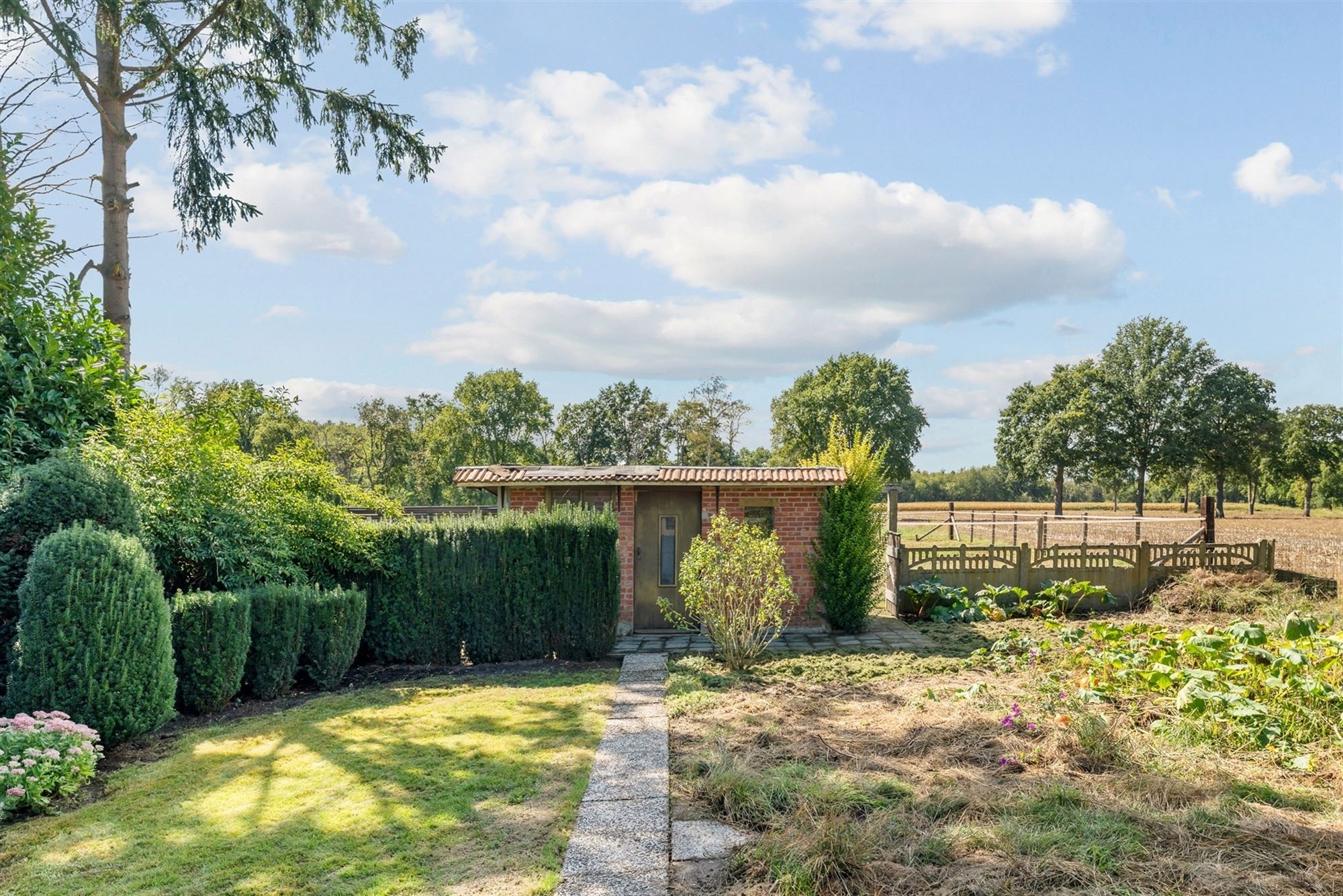 OP TE FRISSEN WONING MET 3 SLAAPKAMERS, SUPER RUSTIG GELEGEN OP EEN PERCEEL VAN 10A TEMIDDEN VAN HET GROEN TE HAM foto 23