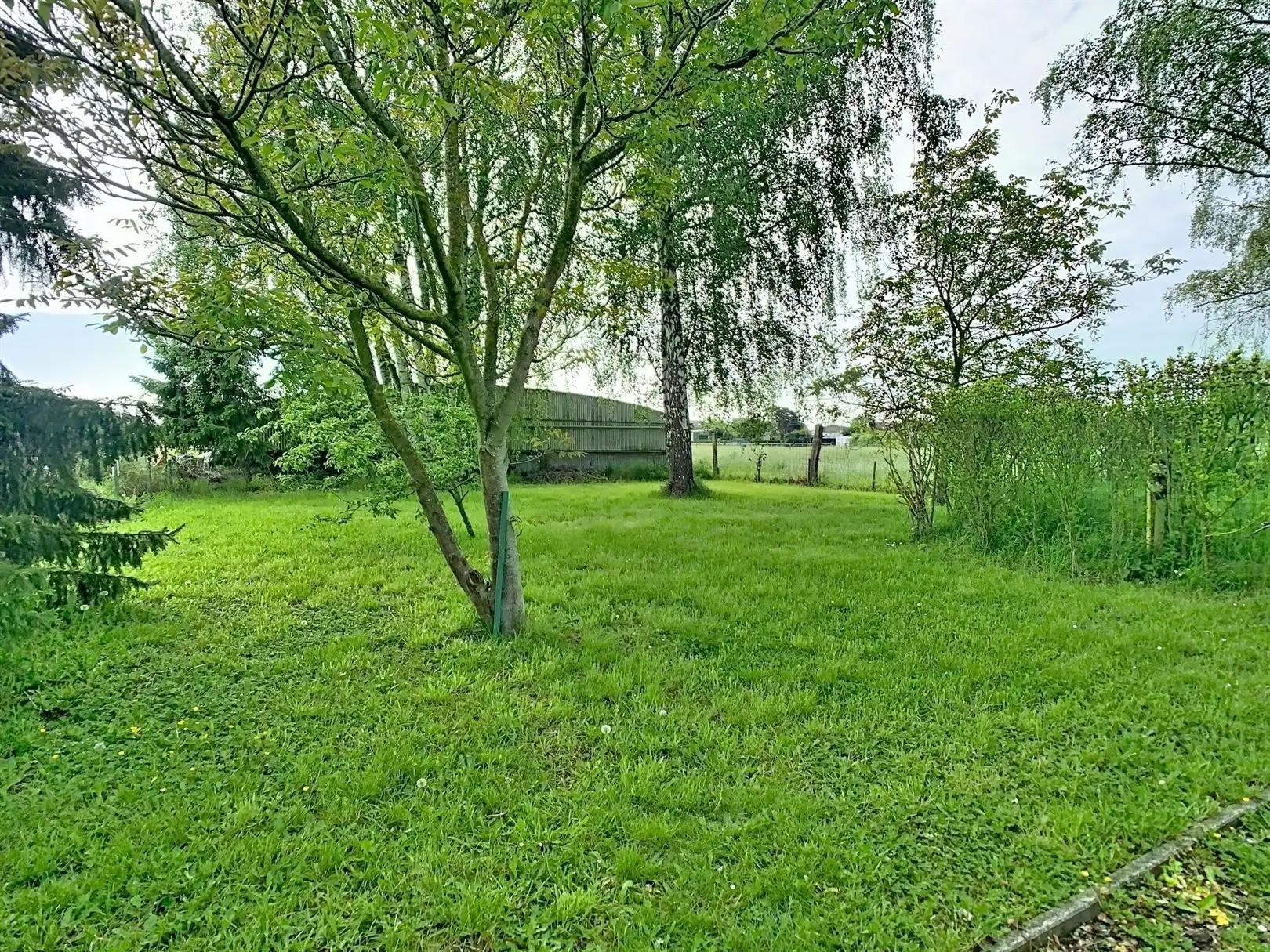 Te renoveren 3-gevel met prachtige tuin foto 17