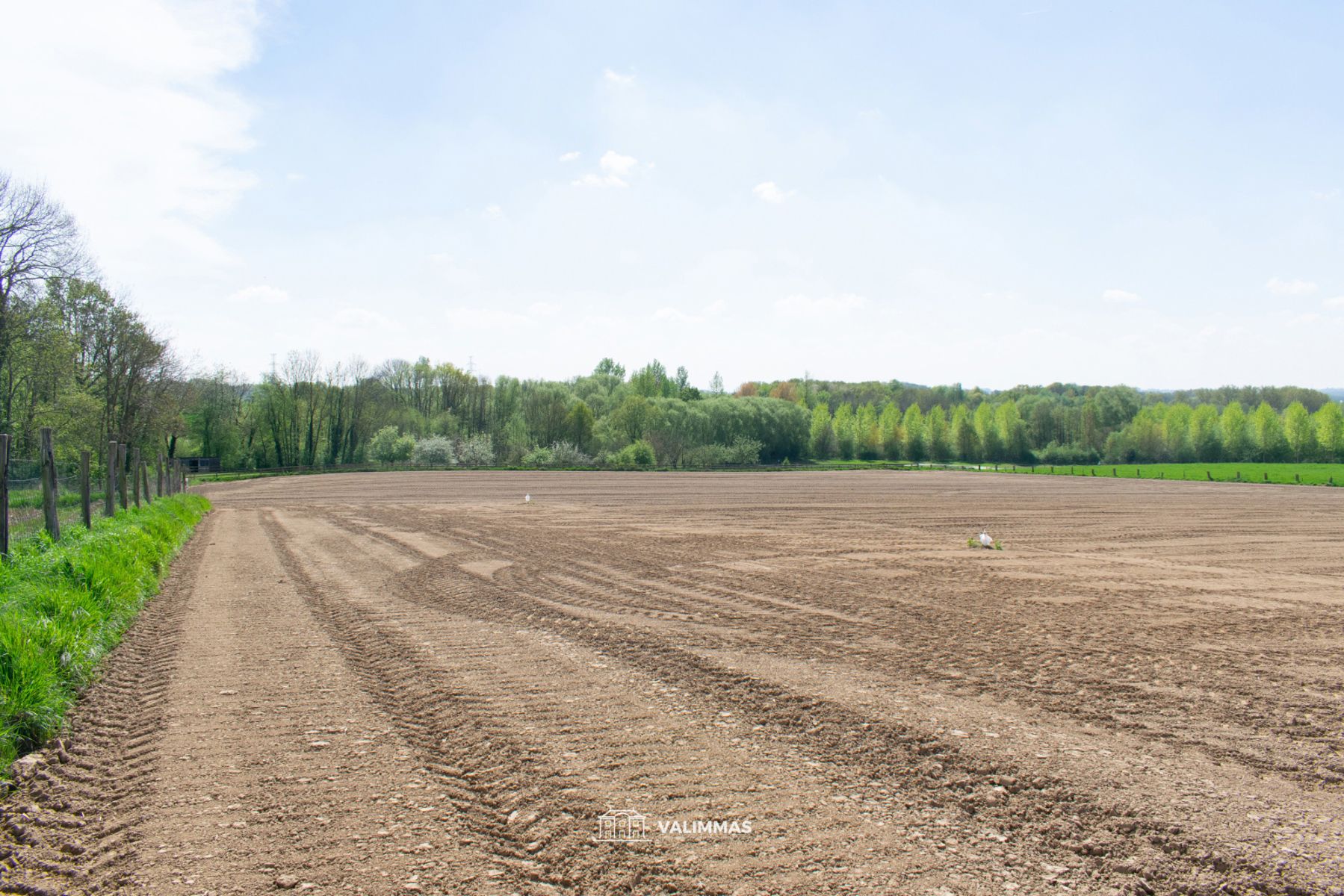 Mooi perceel landbouwgrond, ± 34 are.... foto 11